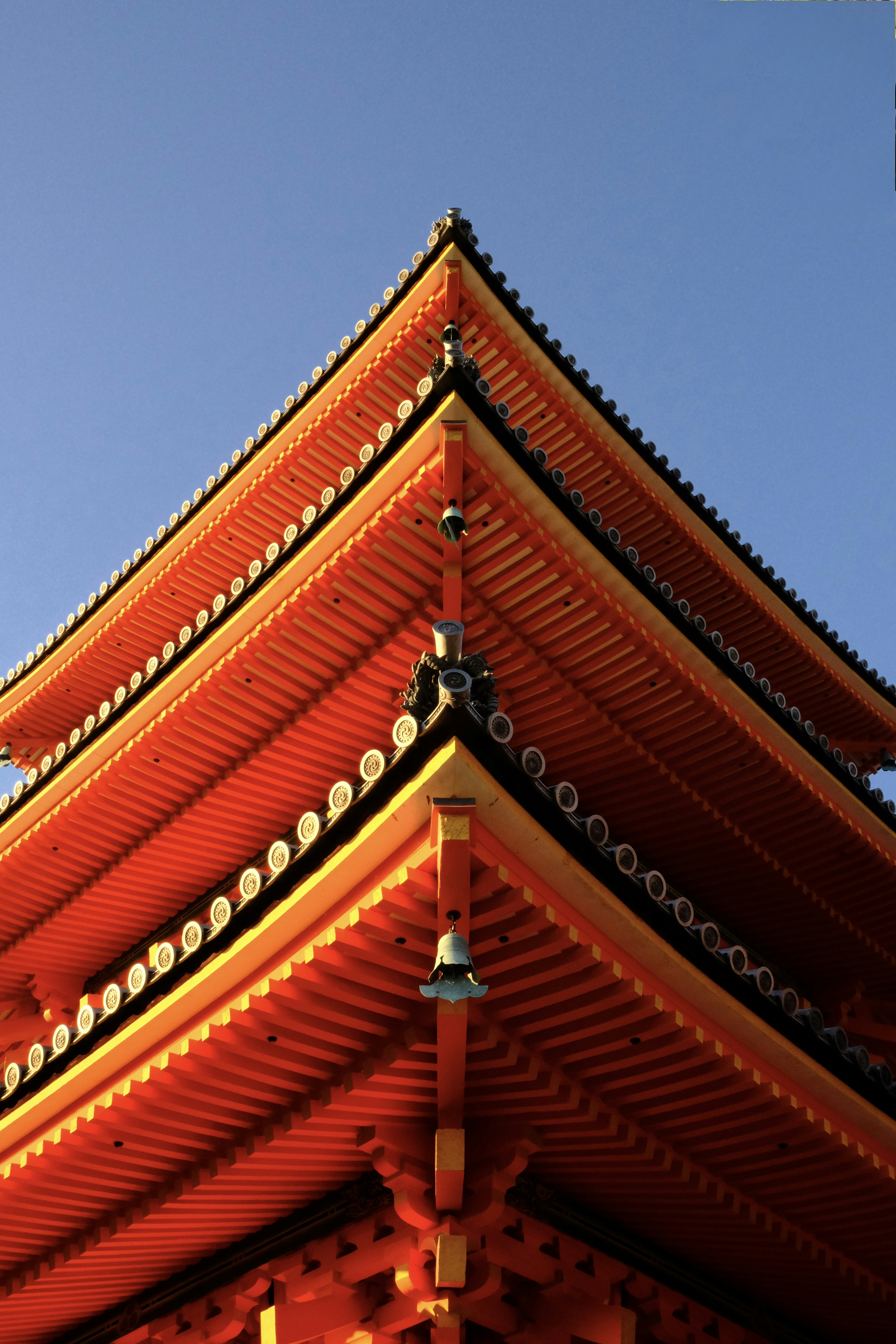 Photo by marius241001