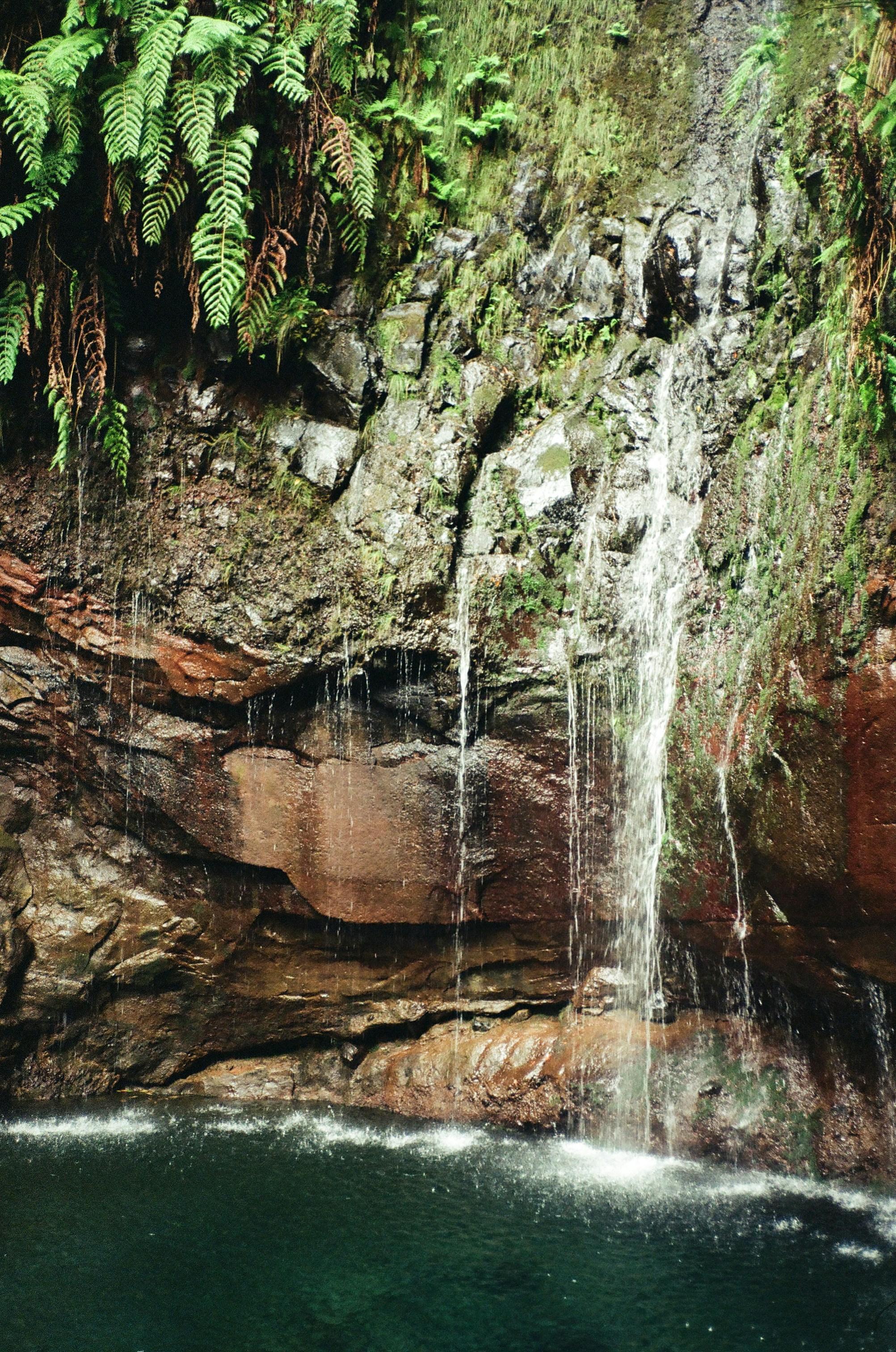 Photo by zvada_photo