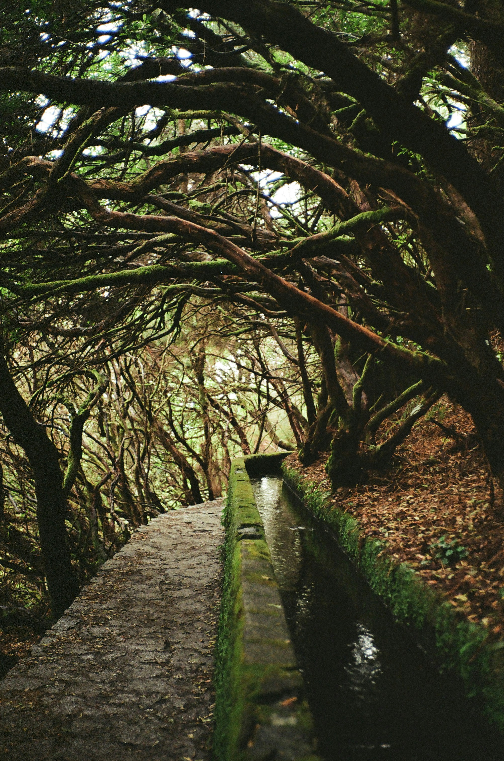 Photo by zvada_photo