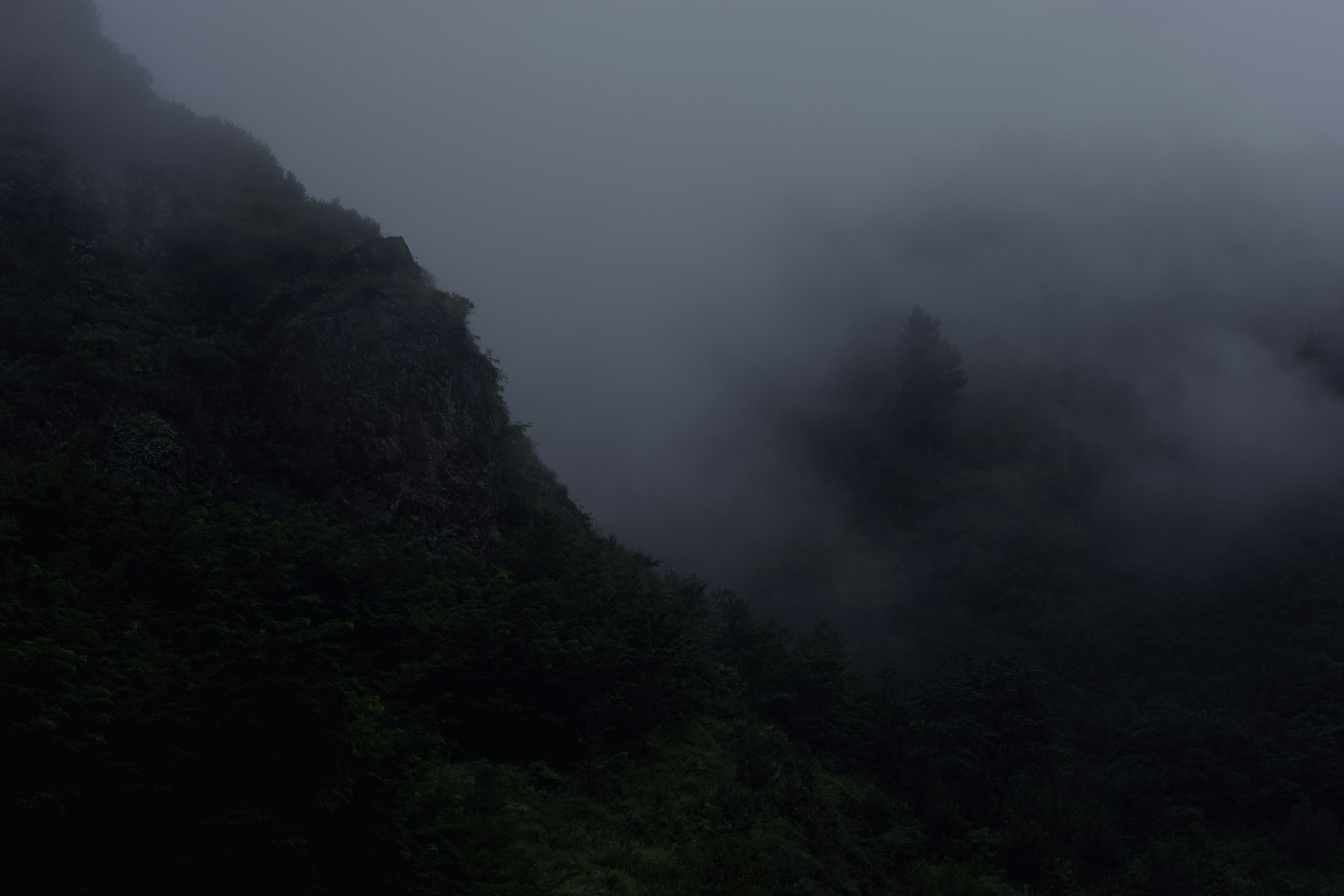 Photo by amaanabidhussain