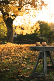 A wooden bench with apples on top of it