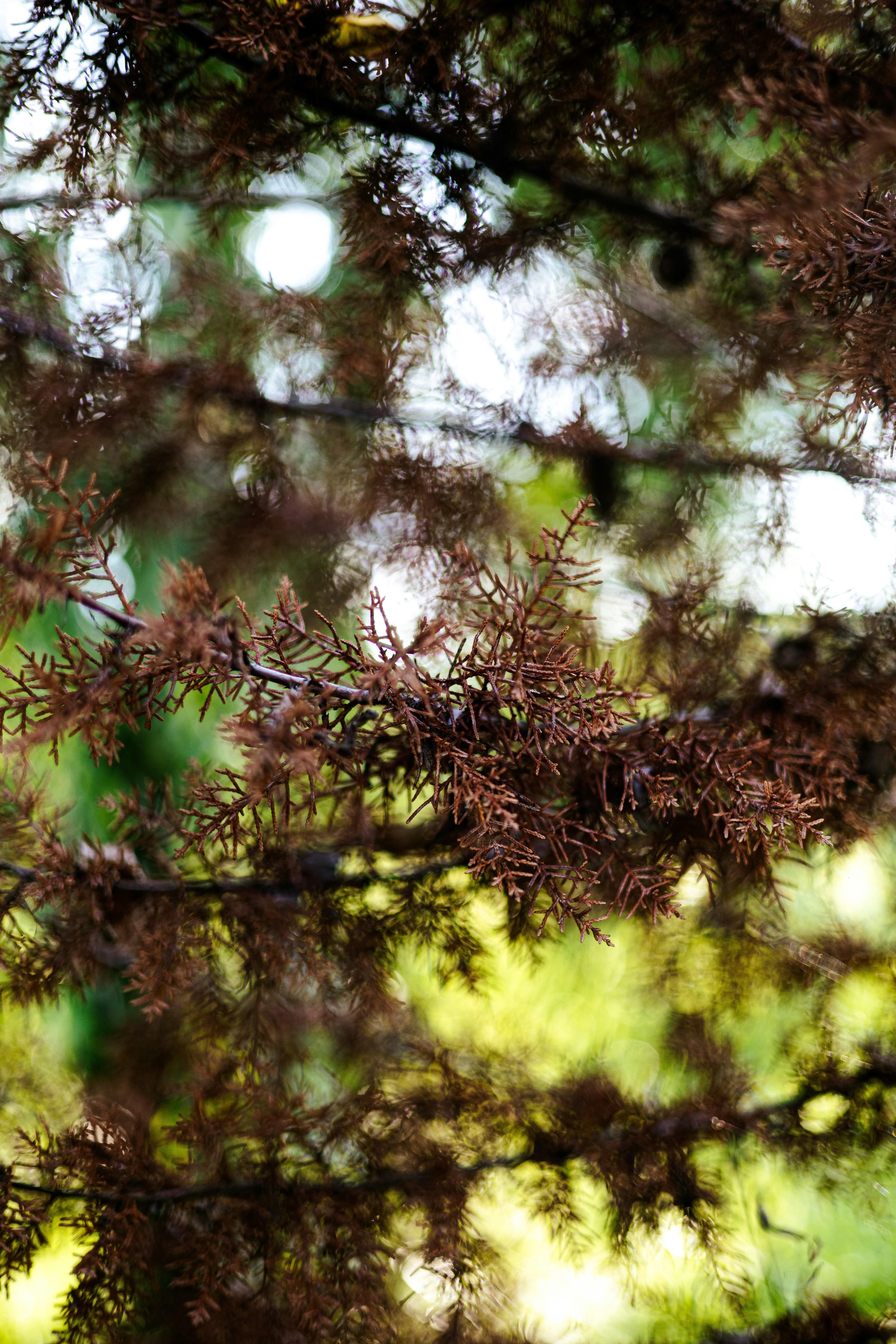 Photo by amaanabidhussain