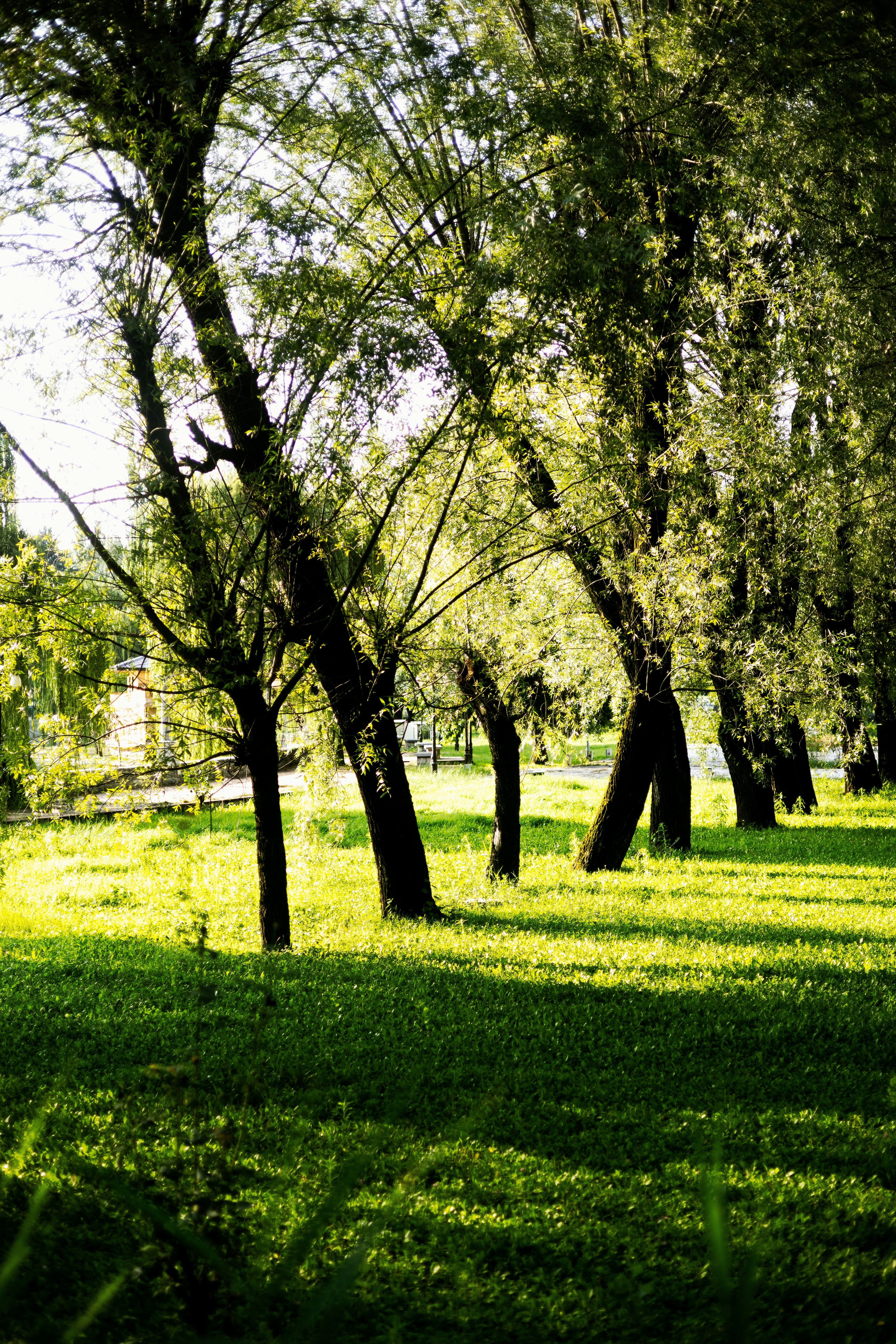 Photo by amaanabidhussain