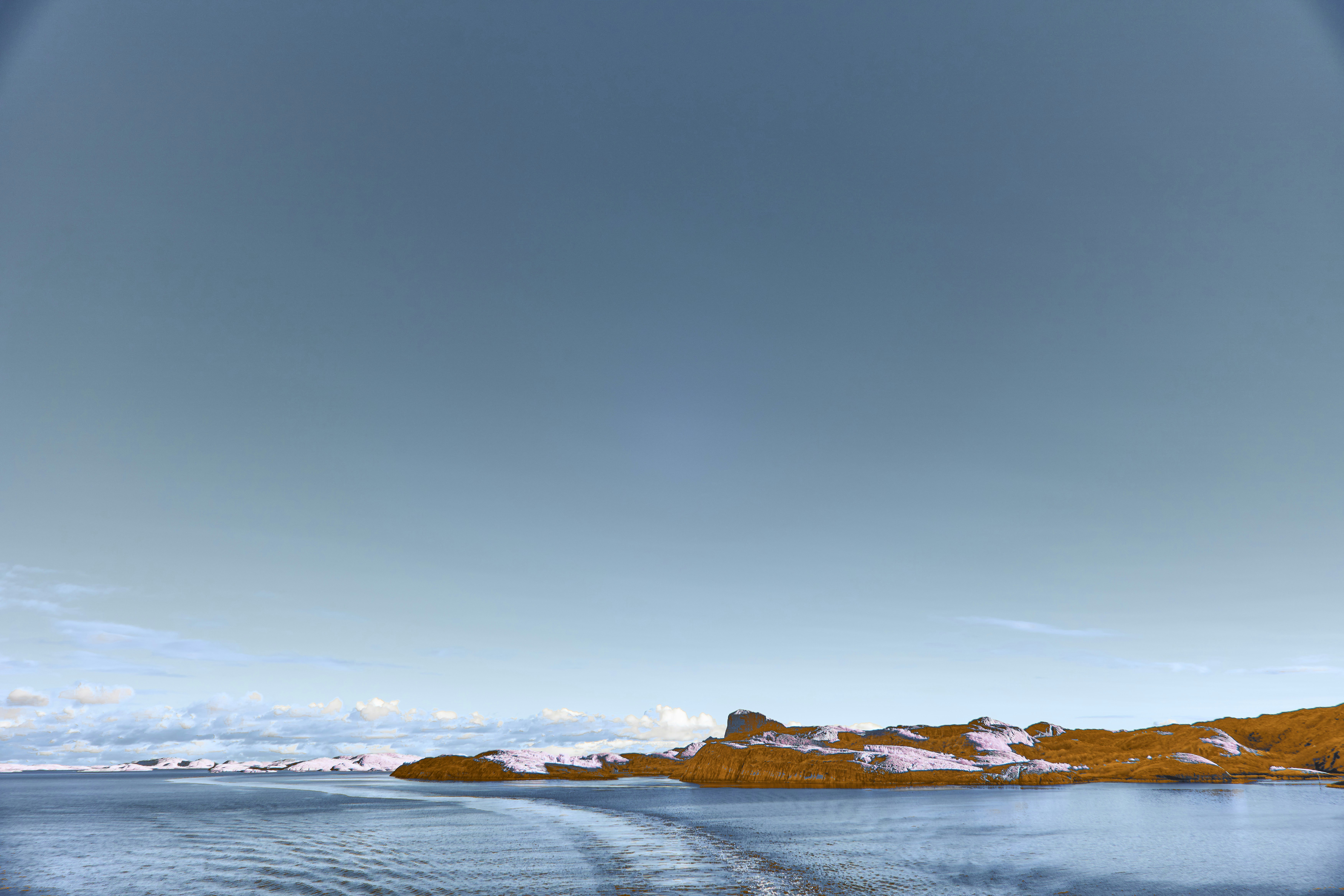 Photo by wolfgang_hasselmann