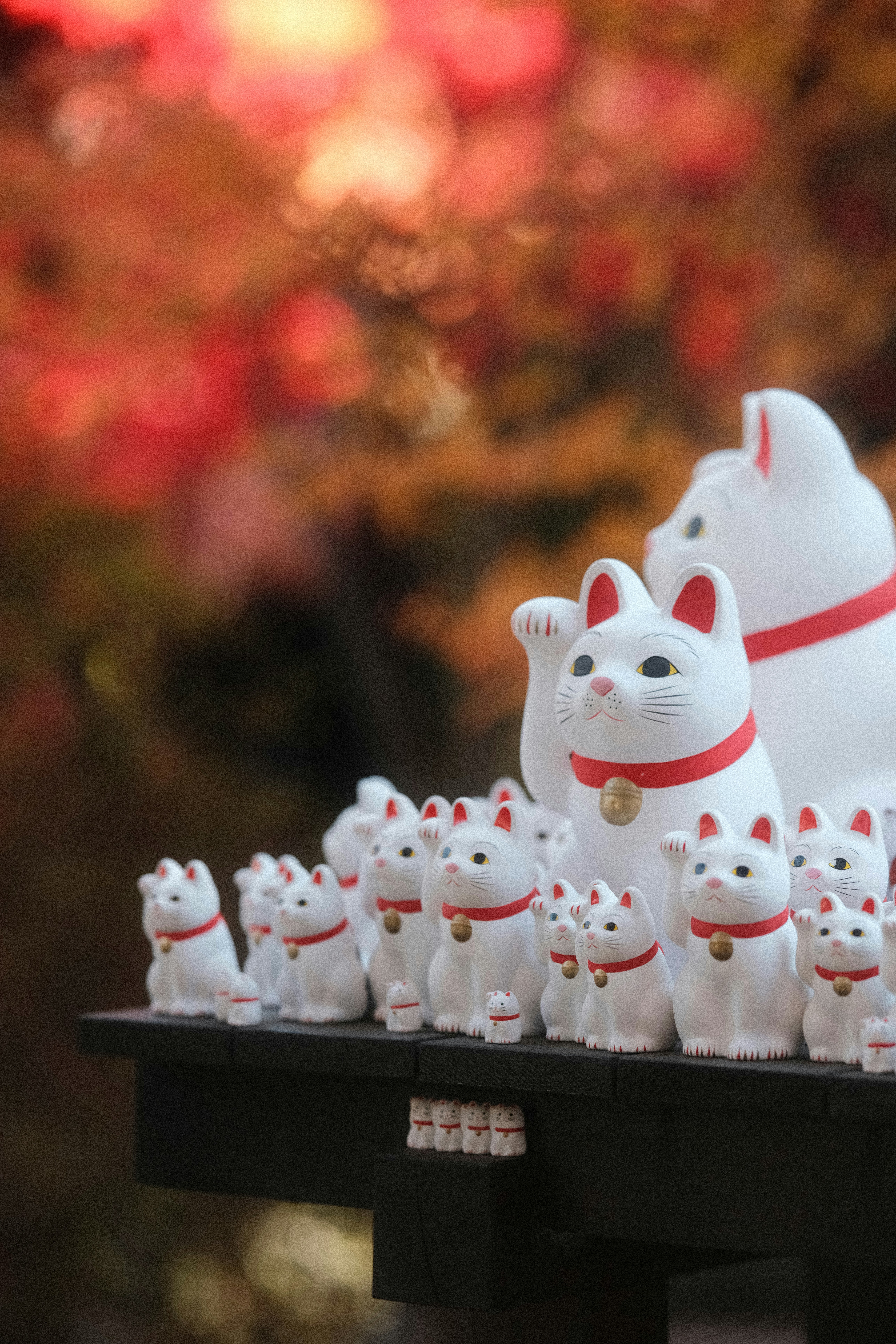 A group of white cat figurines sitting on top of a table