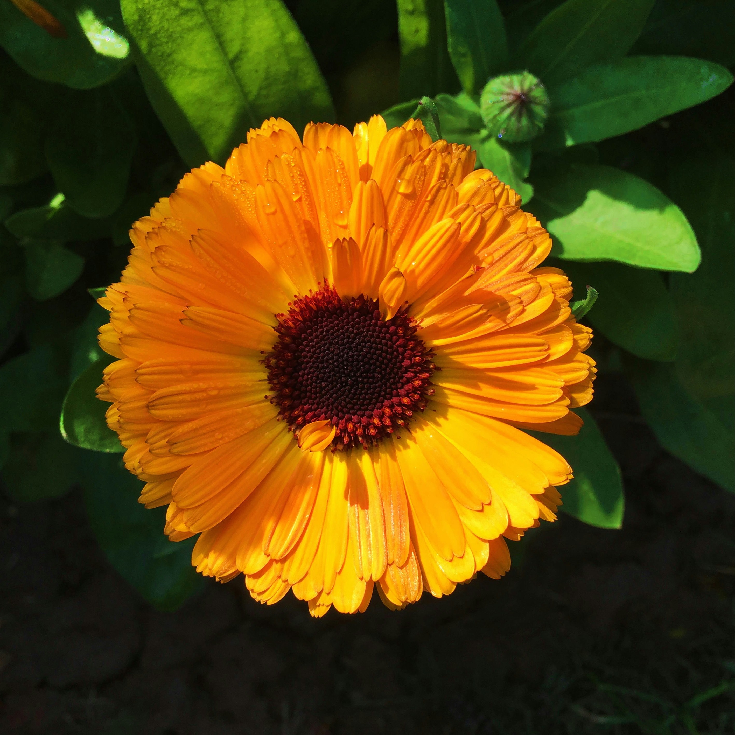 Photo by harveyspecter07