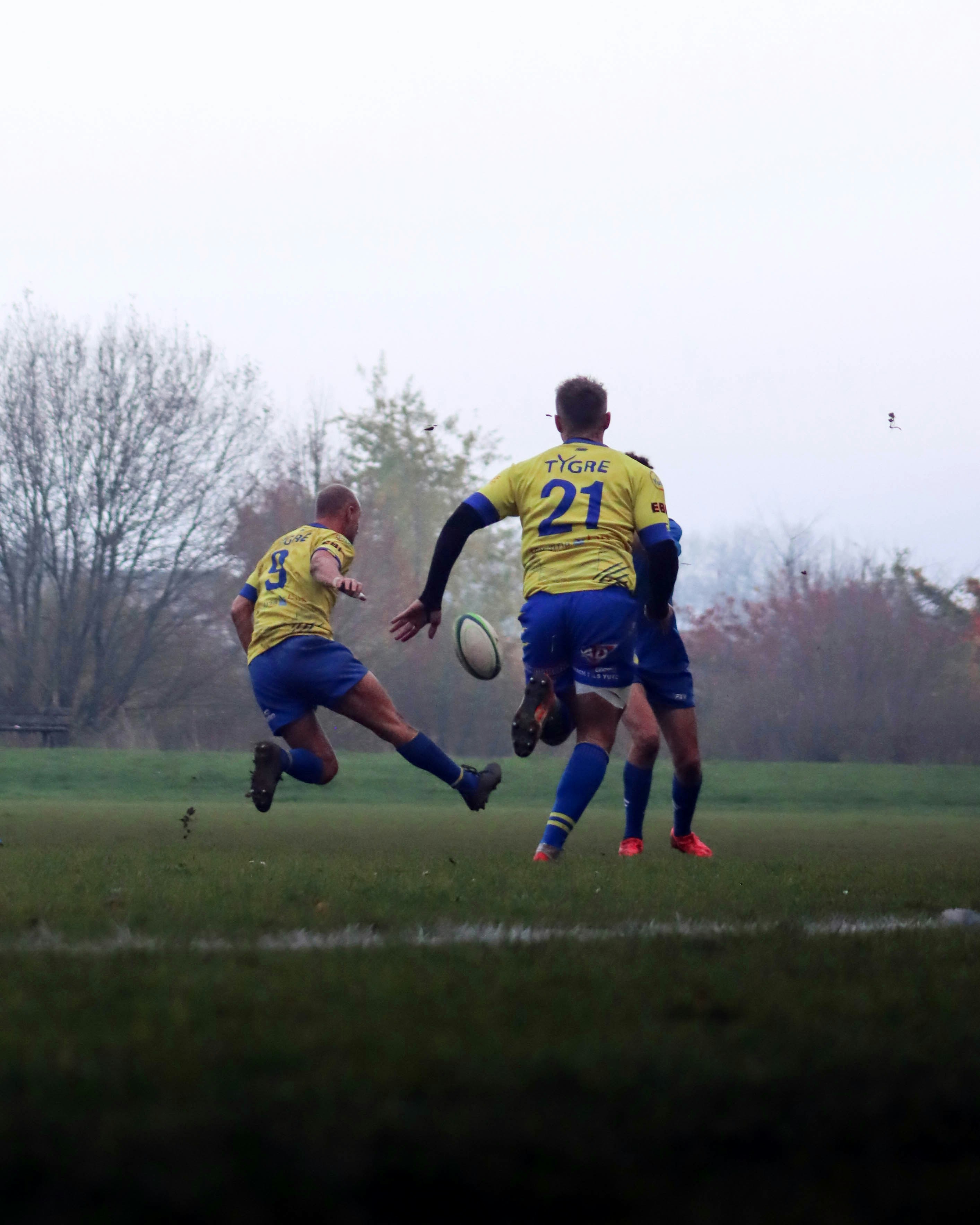 Springboks vs All Blacks: Who will win?