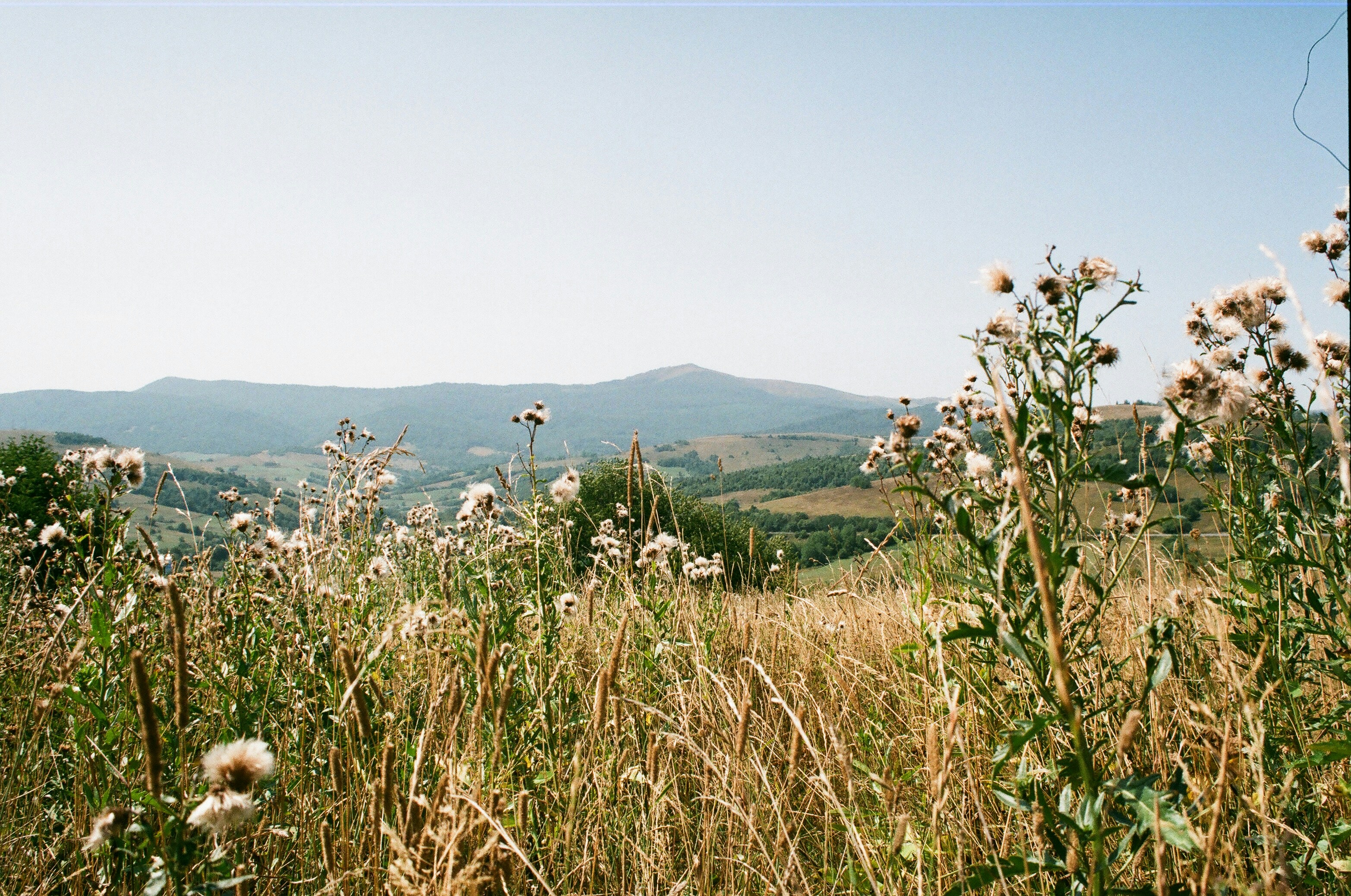 Photo by mineral_of_demon