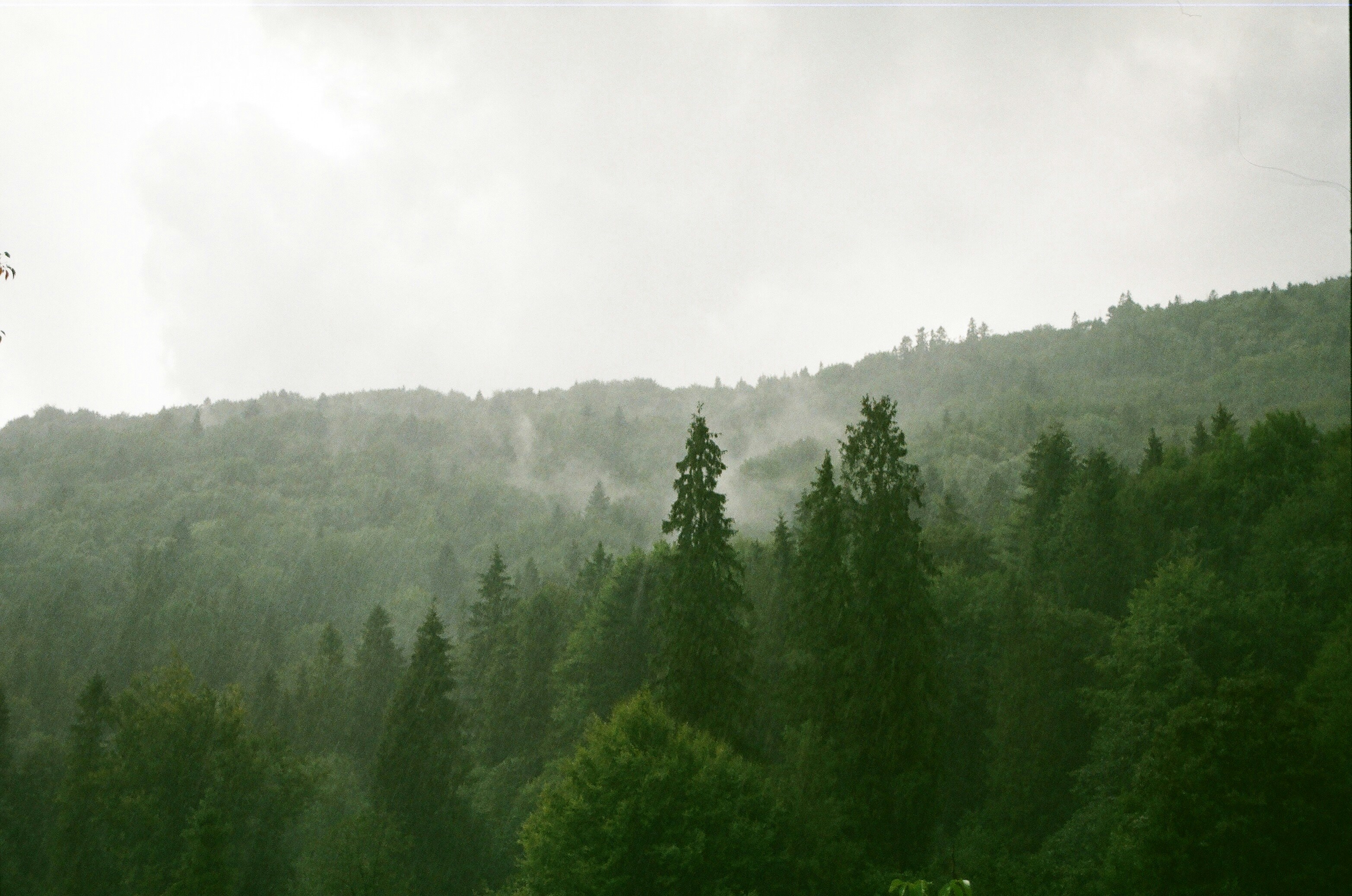 Photo by mineral_of_demon