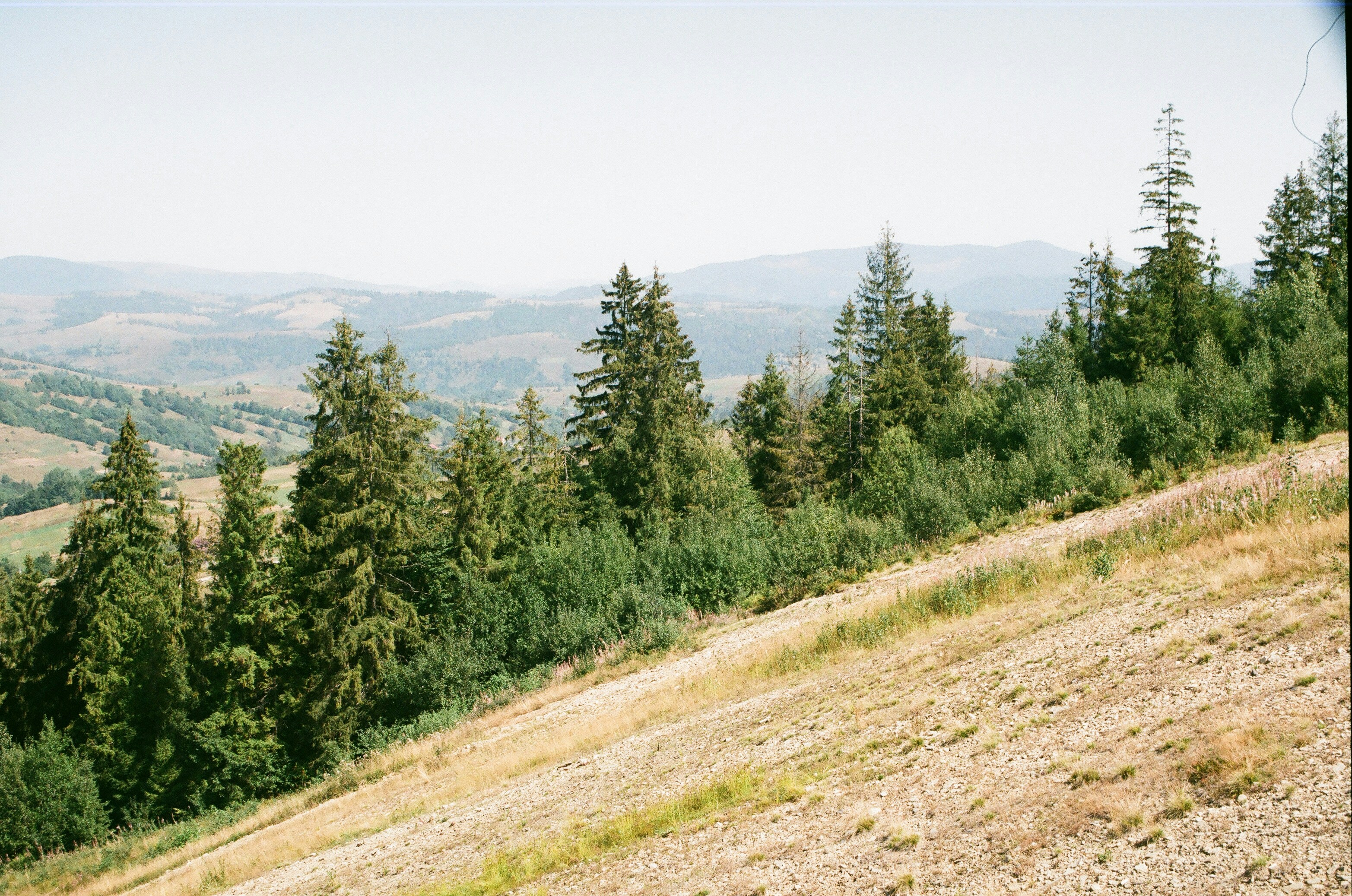 Photo by mineral_of_demon