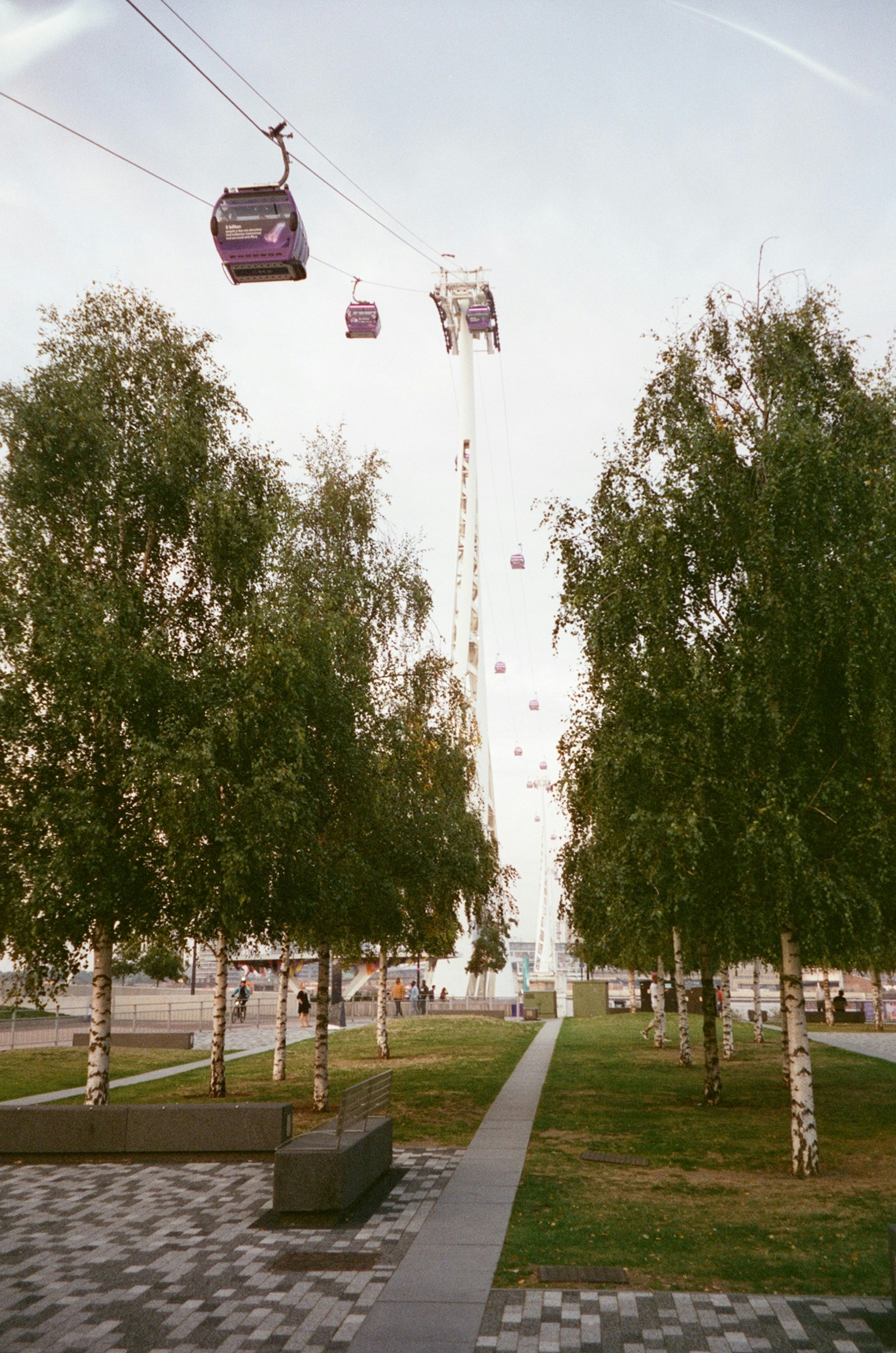 A view of a park with a gondola in the sky
