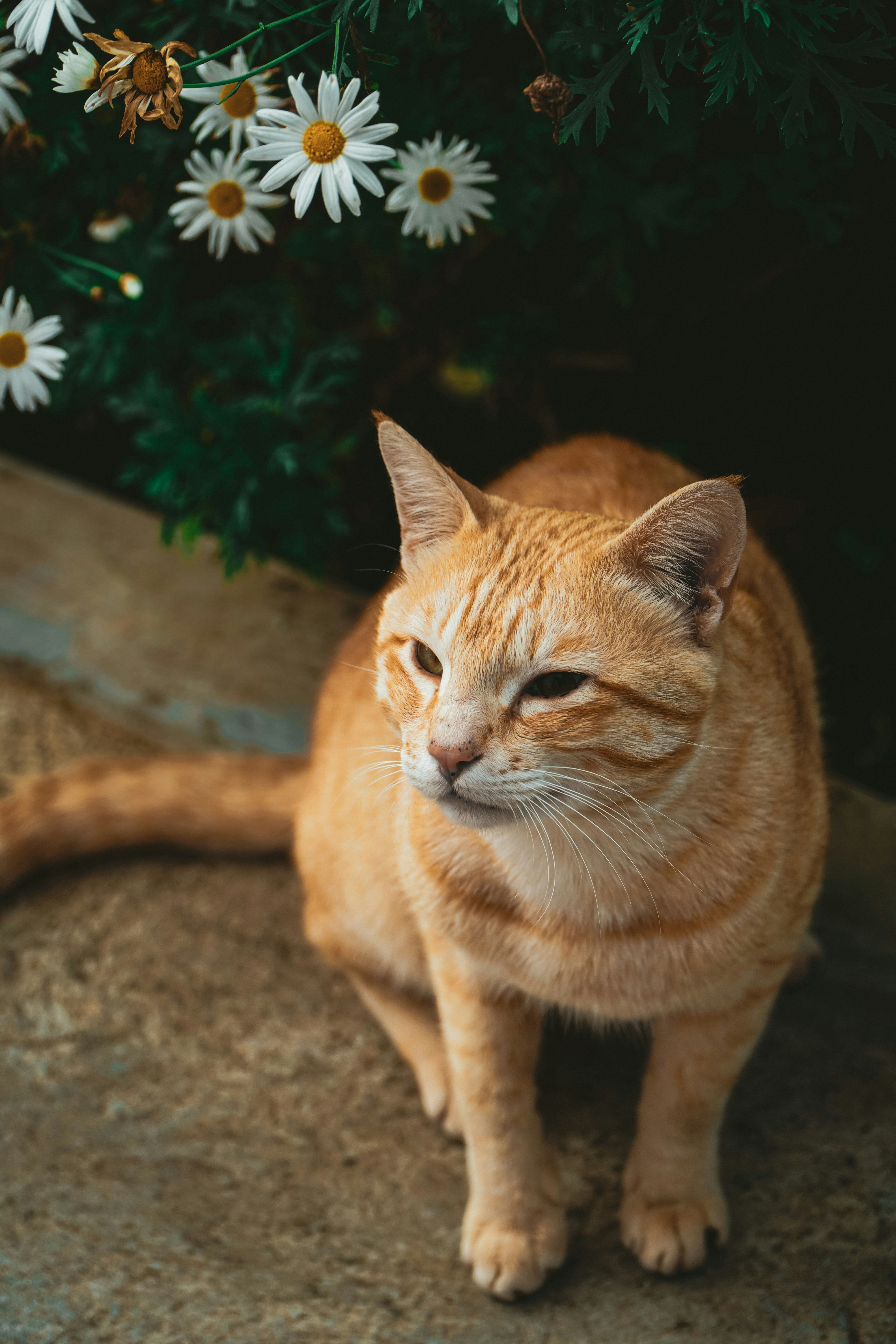 Photo by sens_frames