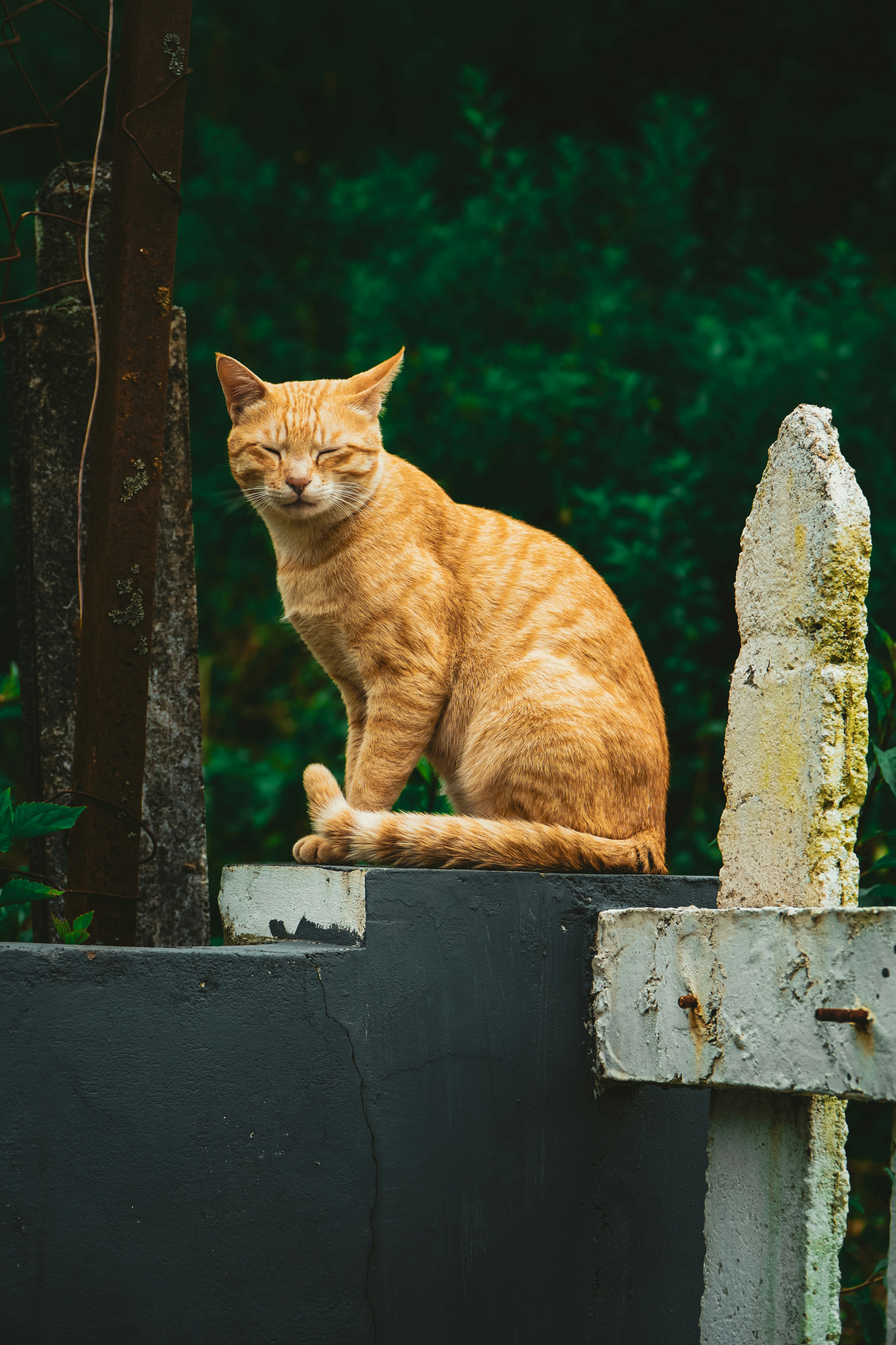 Photo by sens_frames