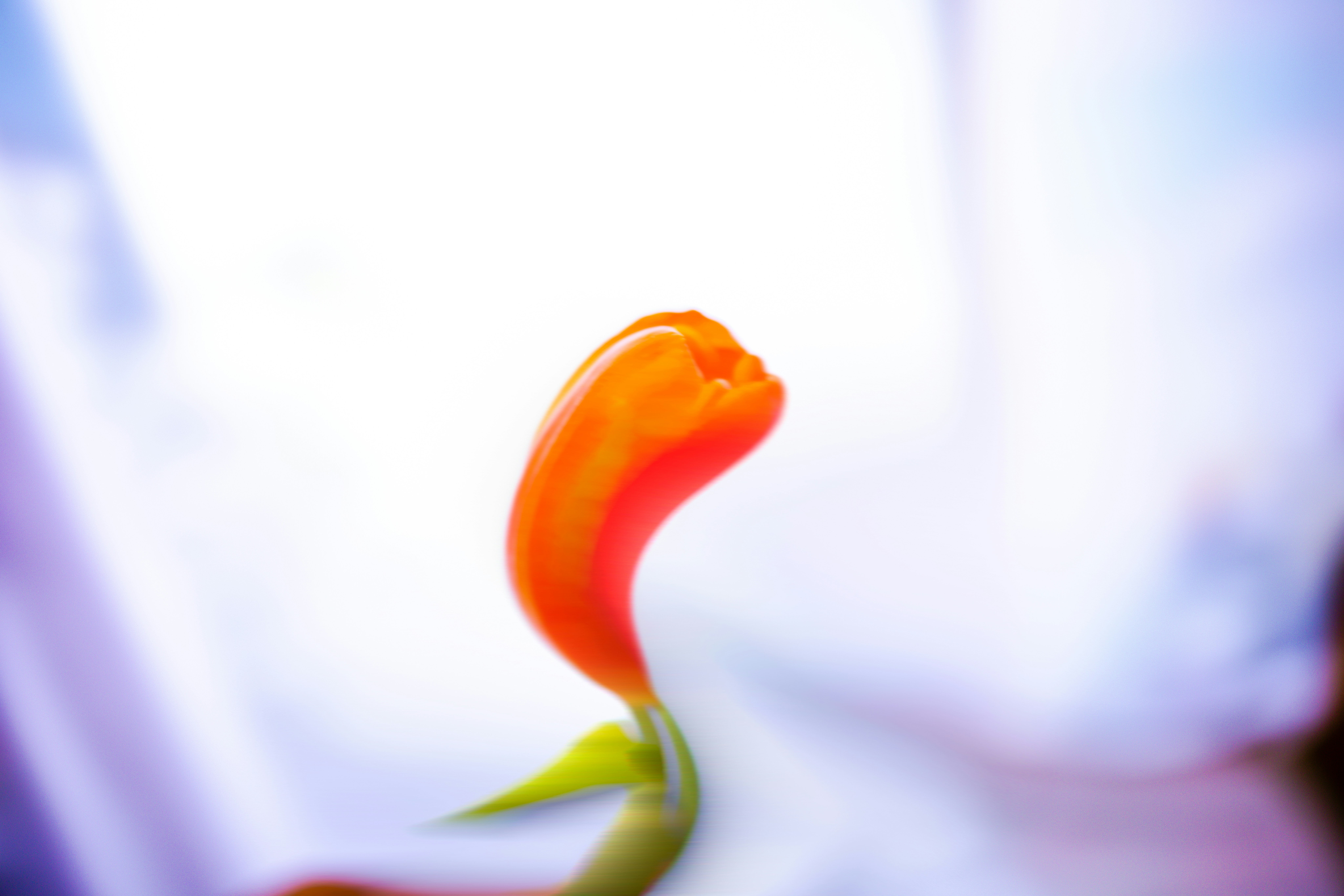 Photo by arttoinspire