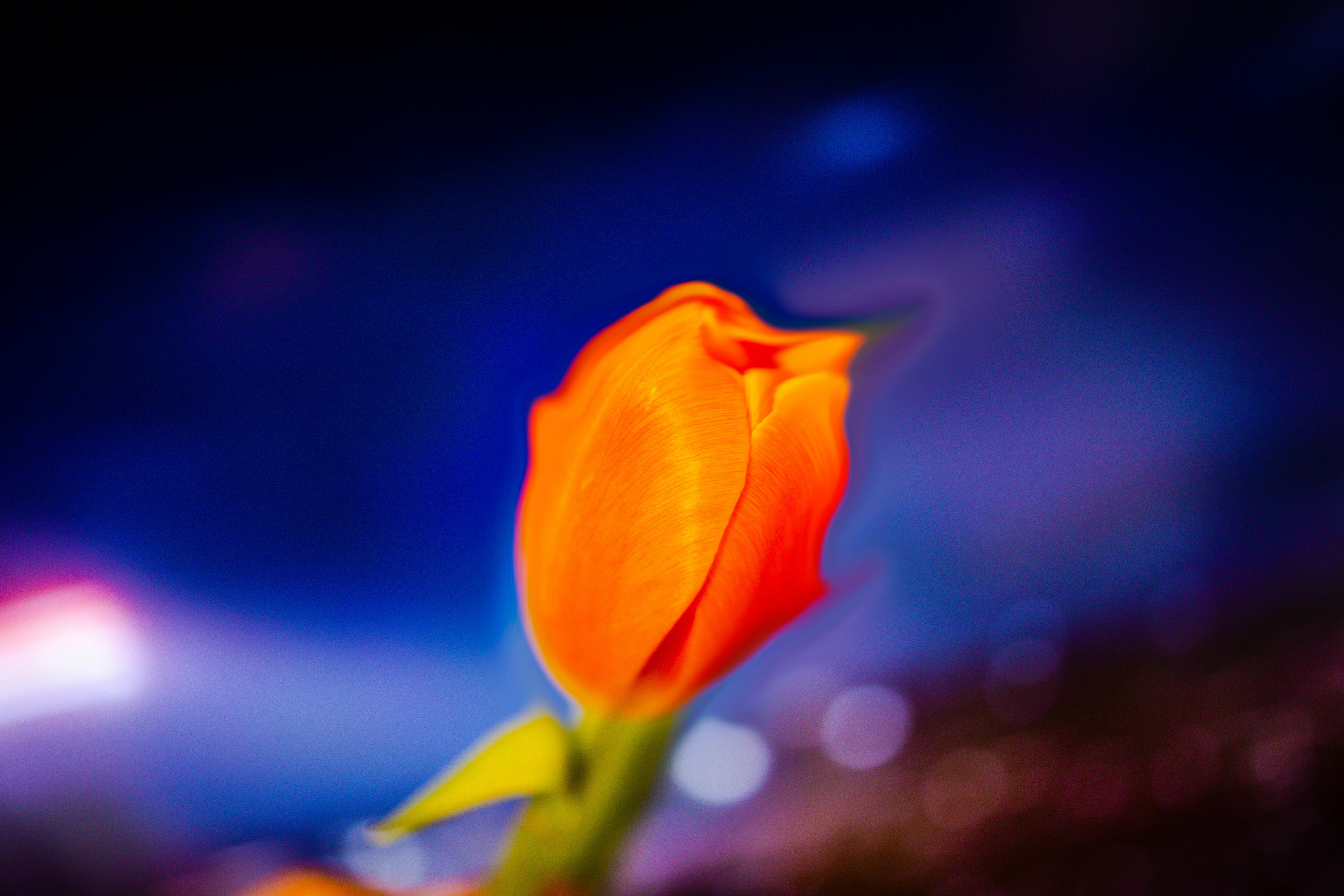 Photo by arttoinspire