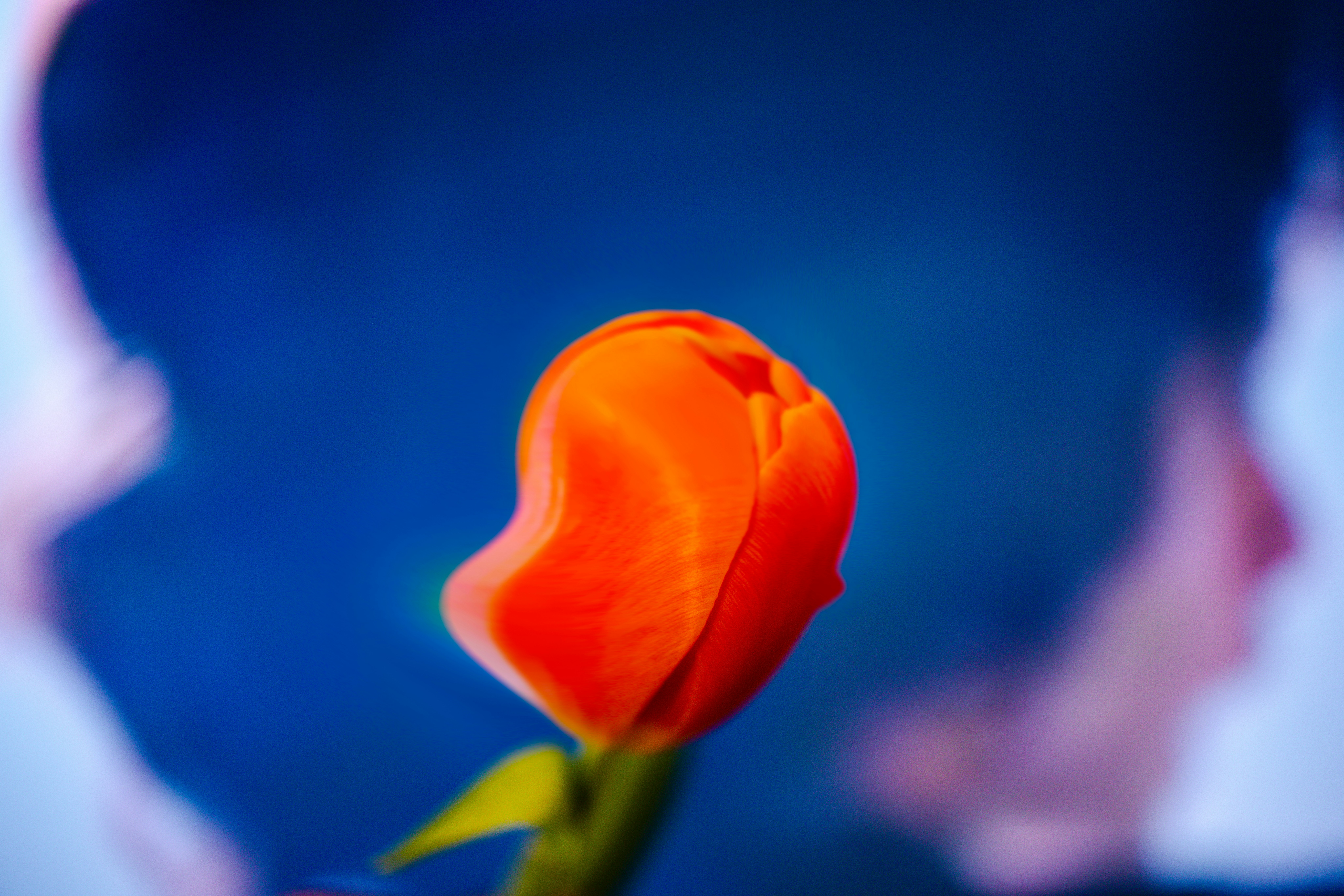 Photo by arttoinspire