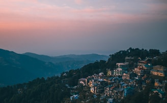 A view of a city from a hill
