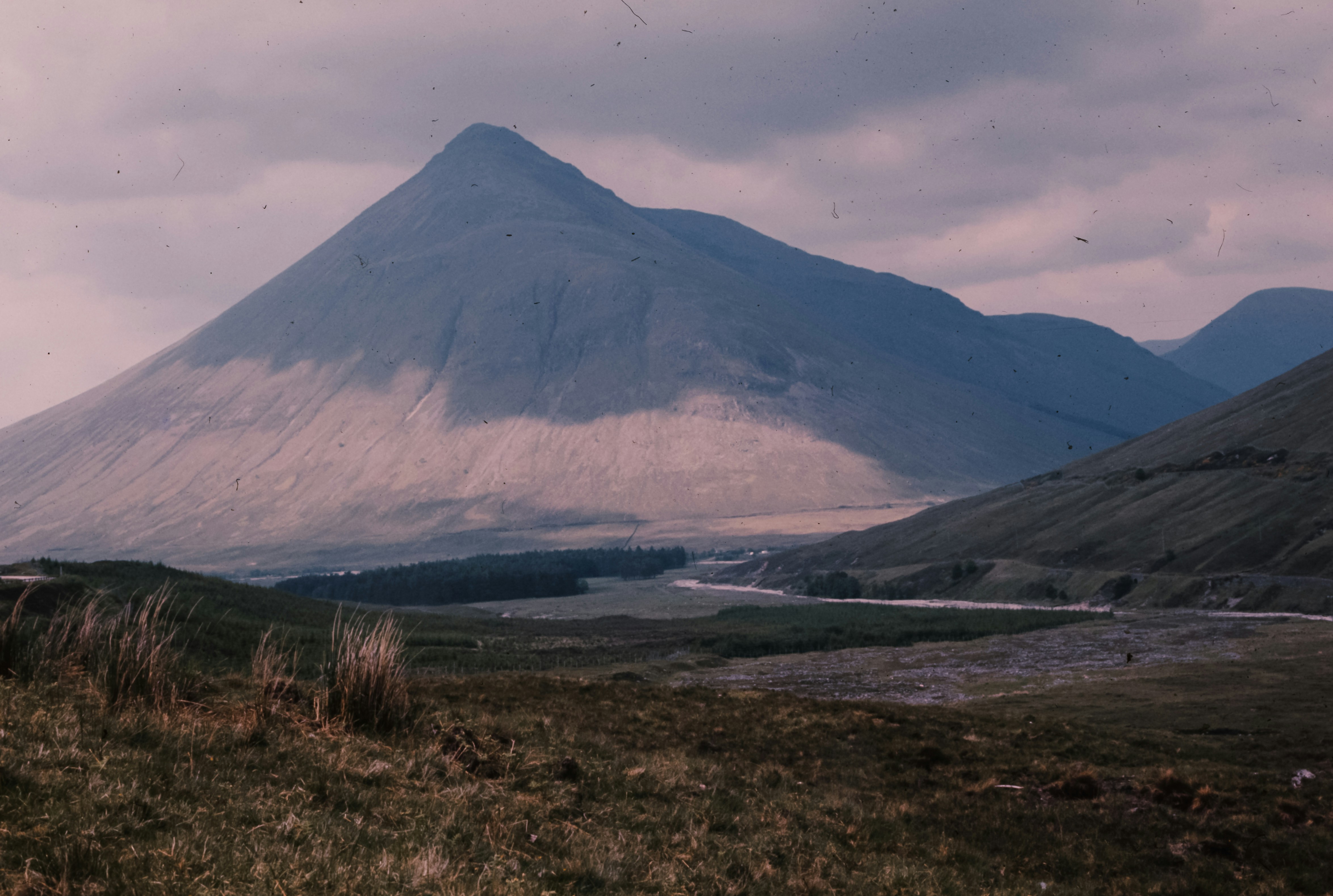 Photo by anniespratt