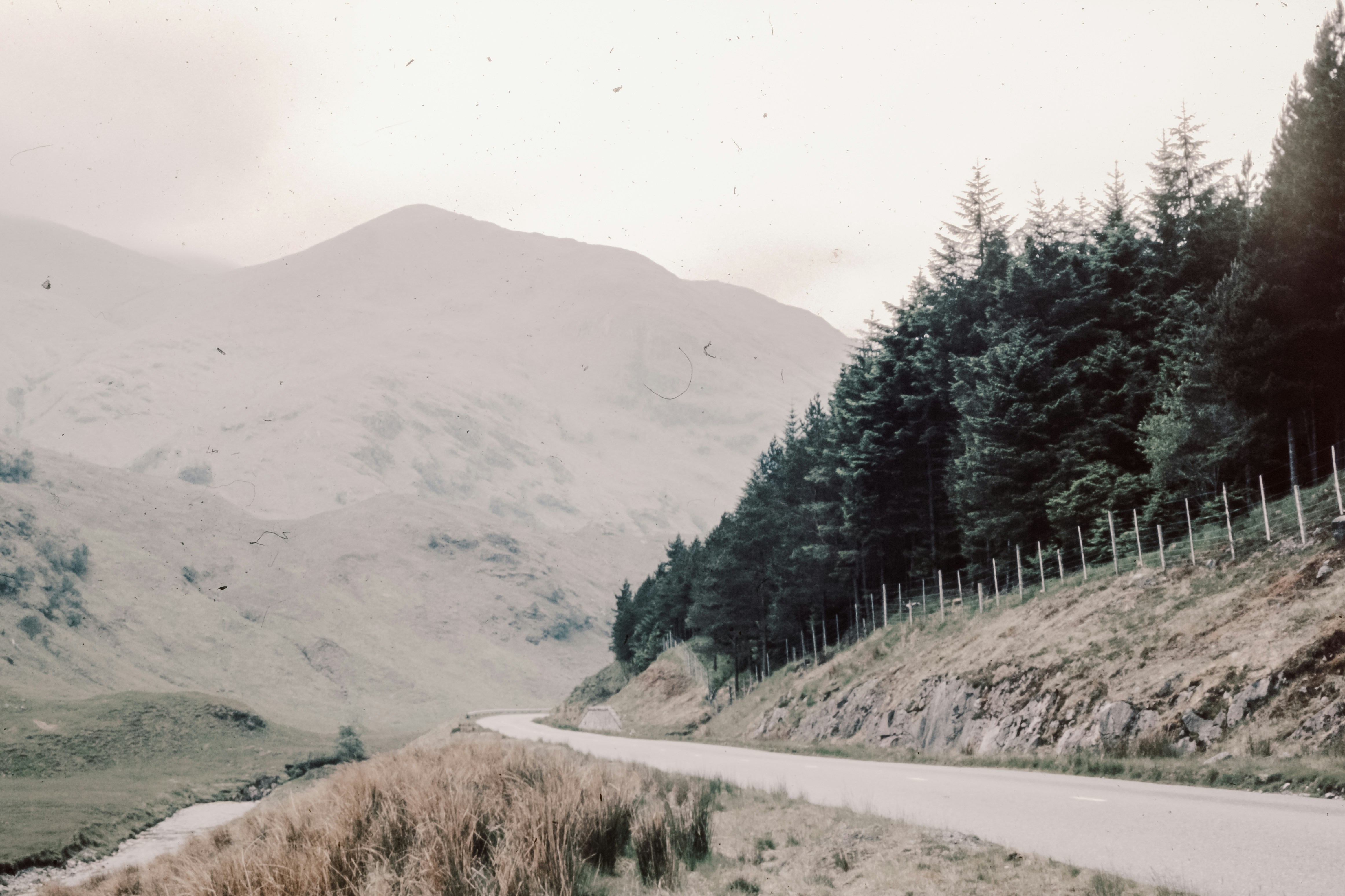 Photo by anniespratt