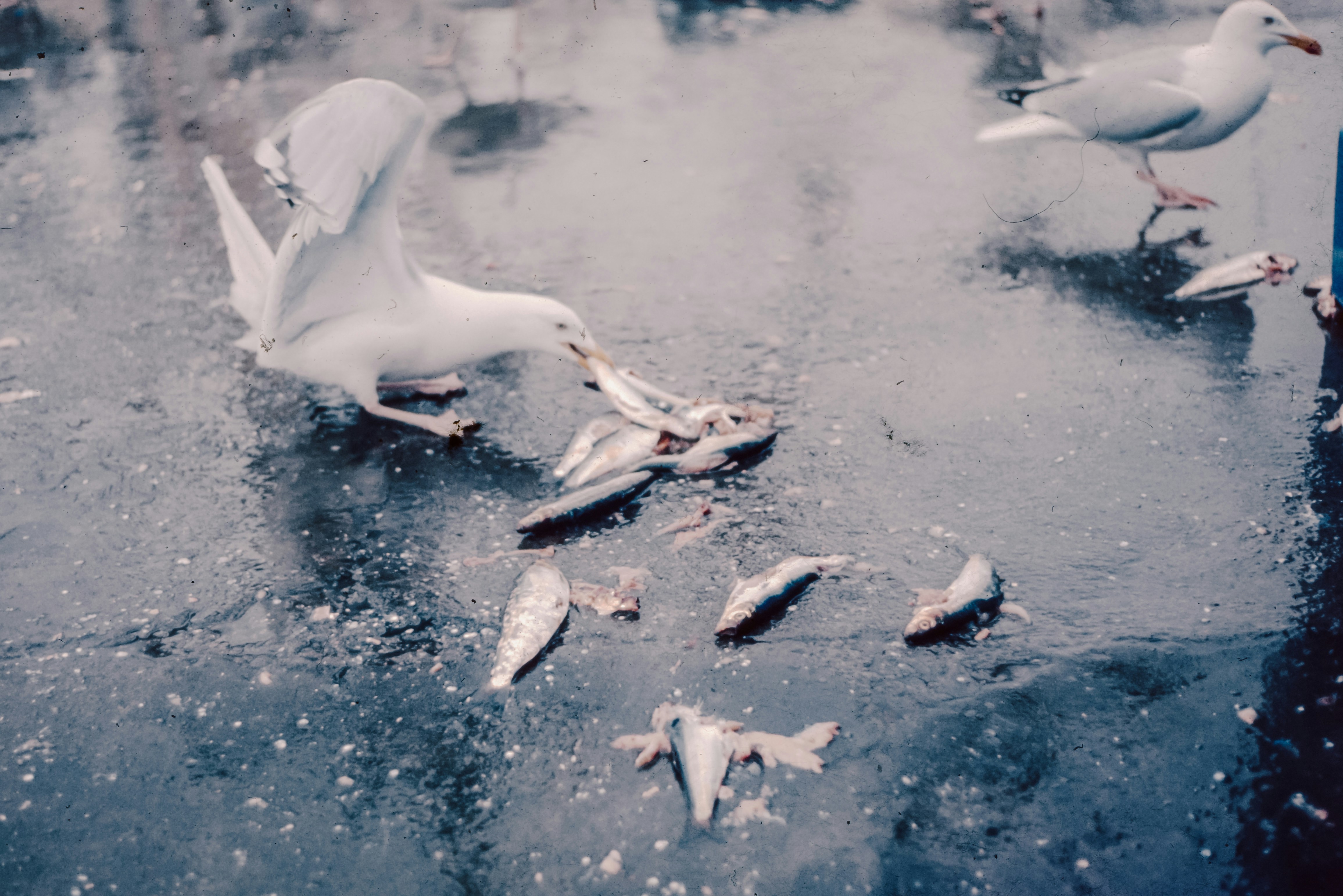 Photo by anniespratt