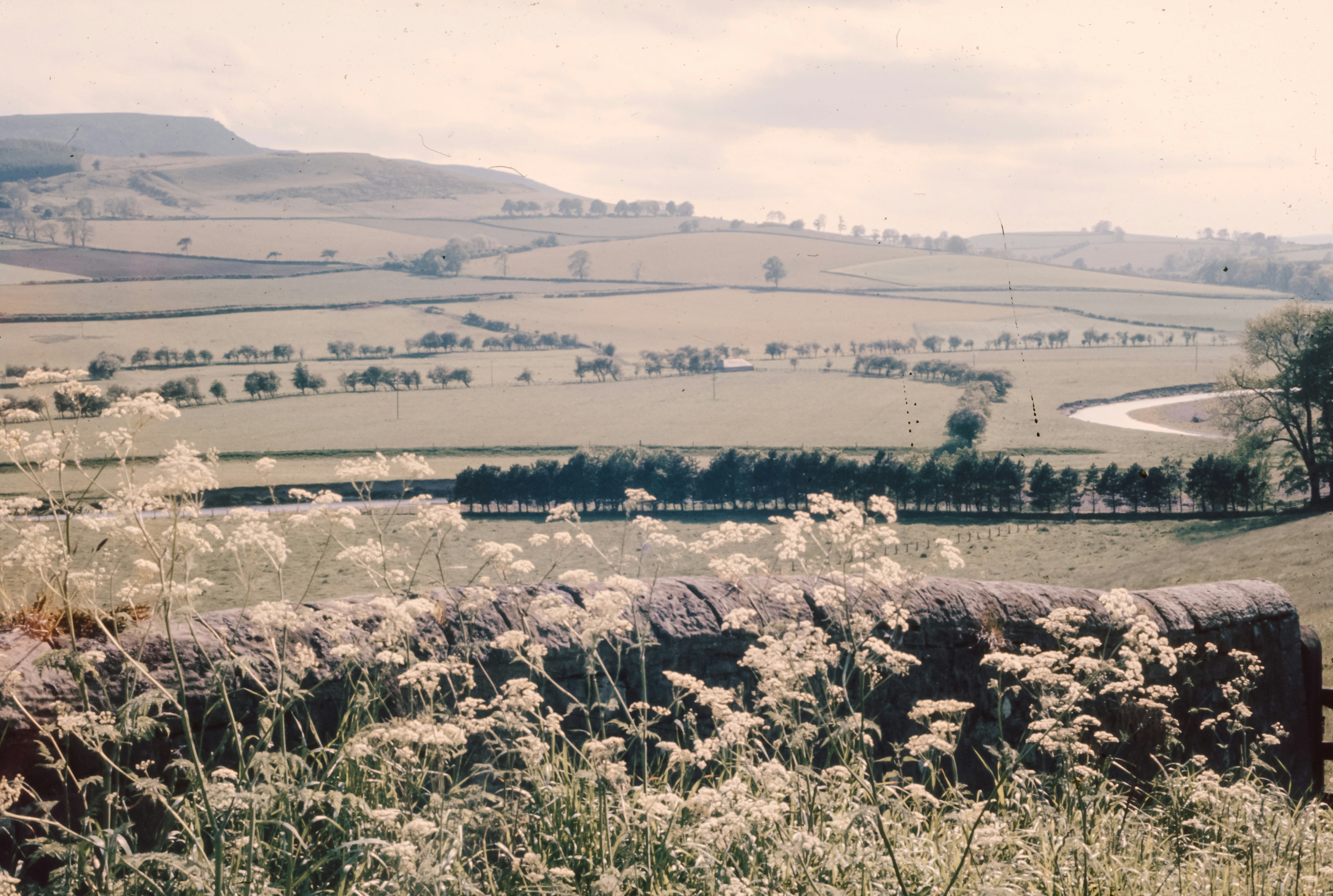 Uma vista de um campo com uma cerca em primeiro plano