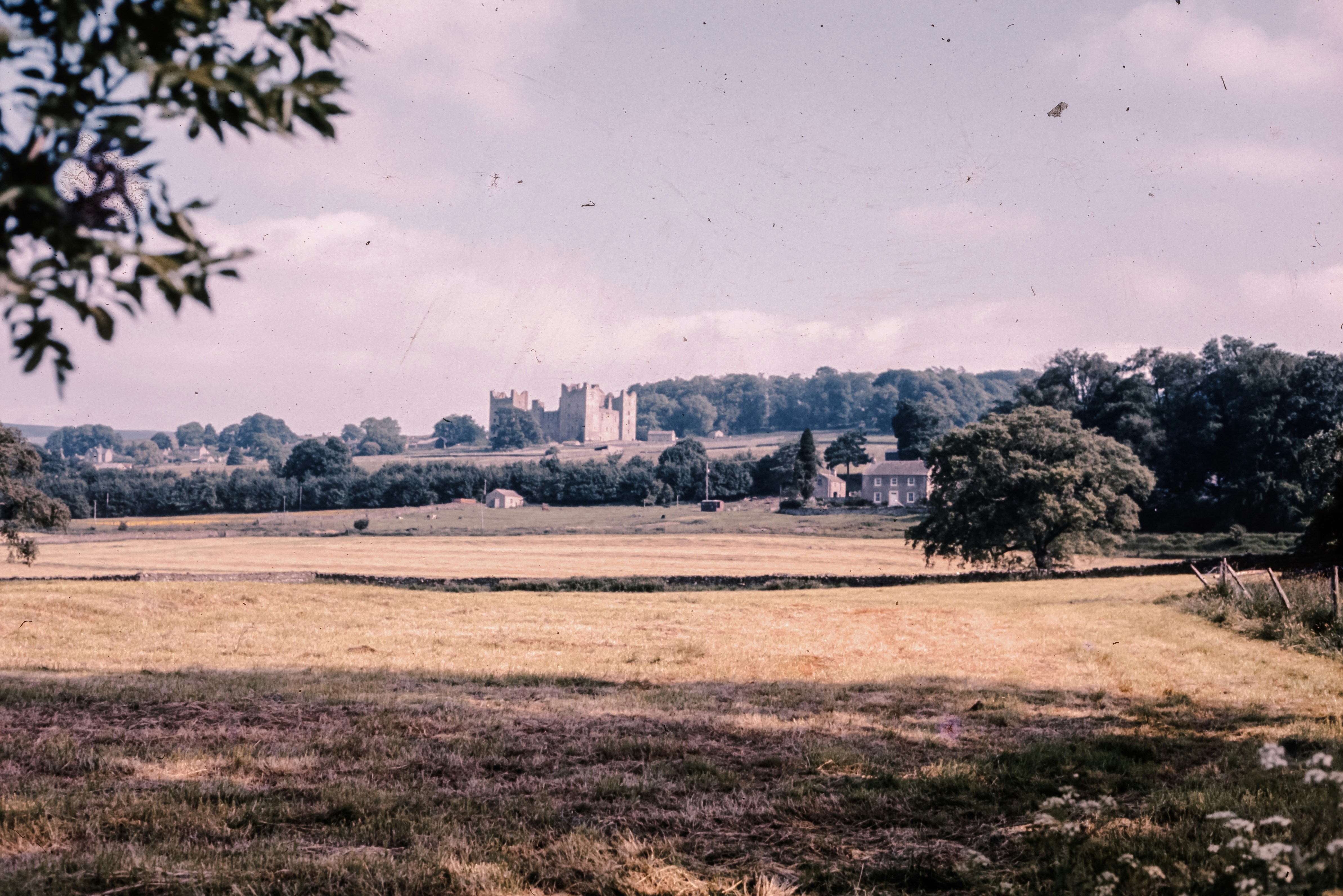 Photo by anniespratt