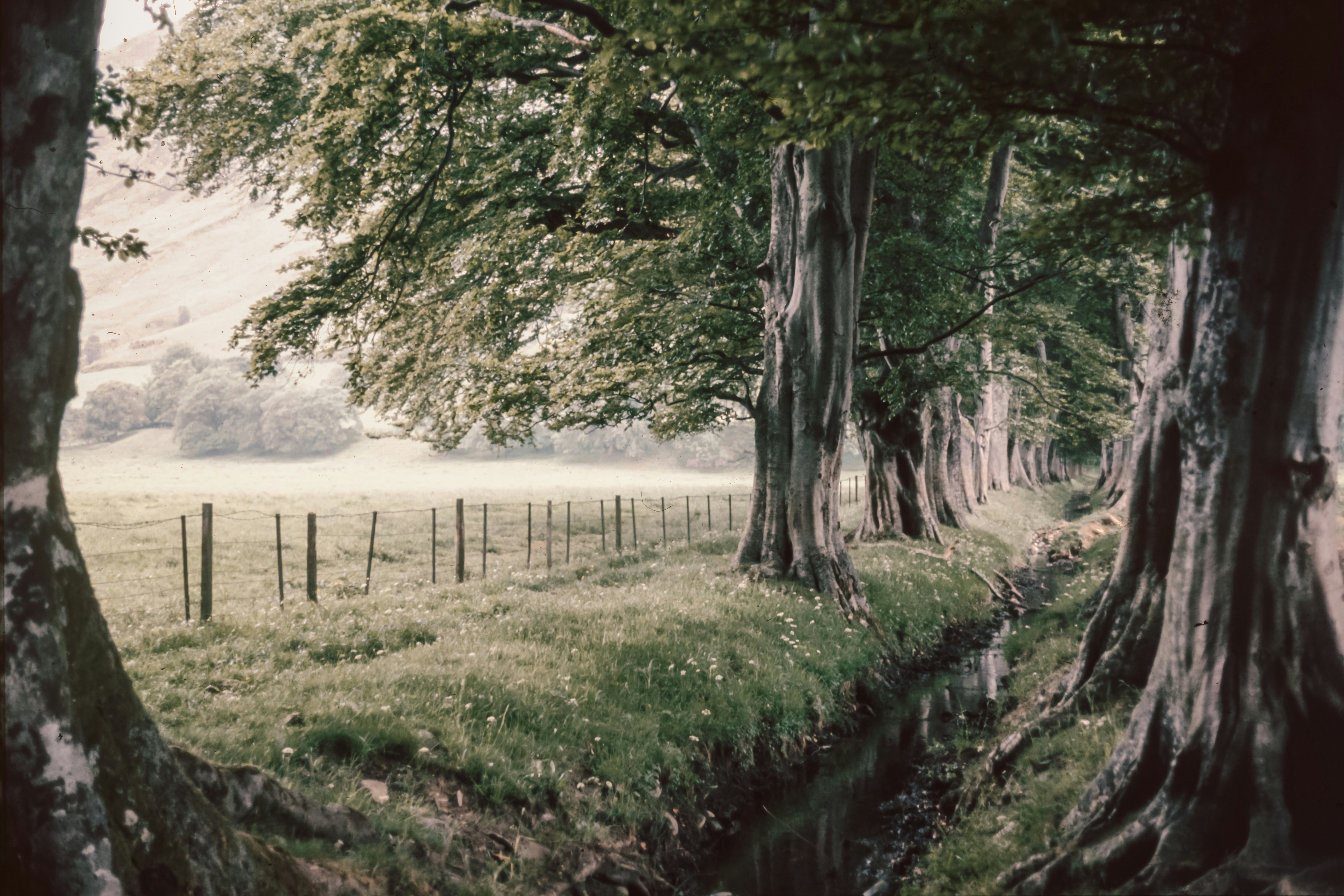 Photo by anniespratt