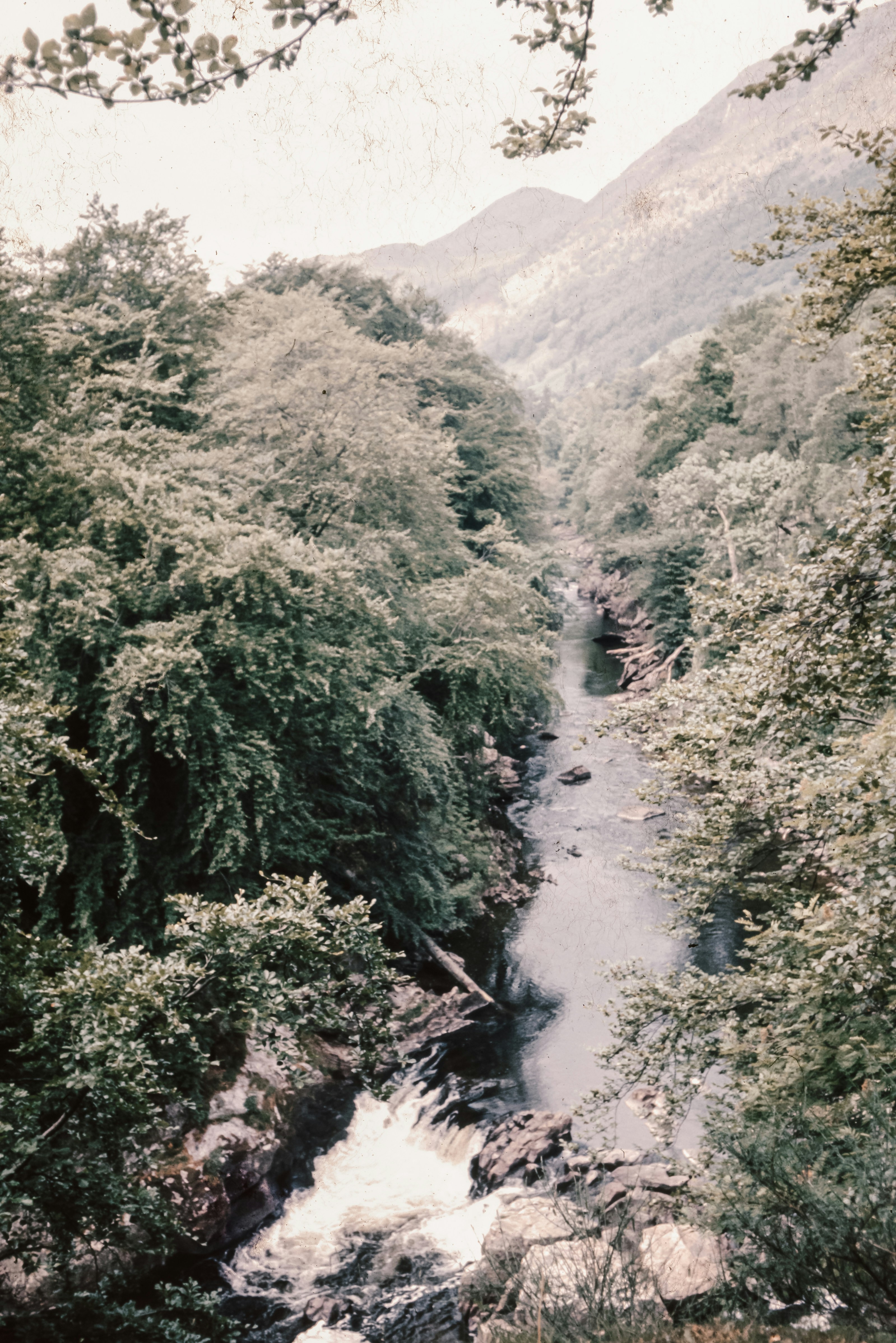 Photo by anniespratt