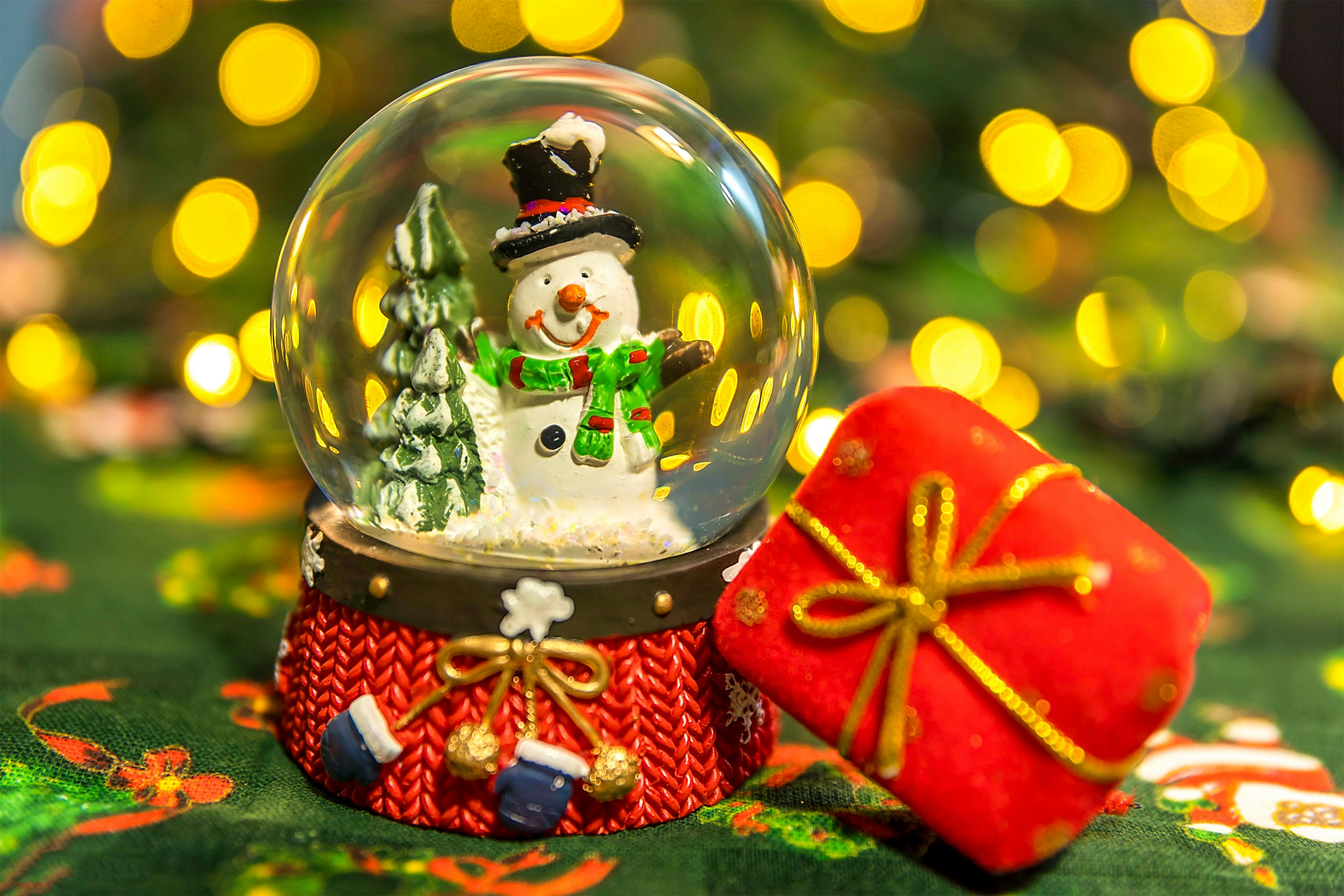 Photo by zaincreations