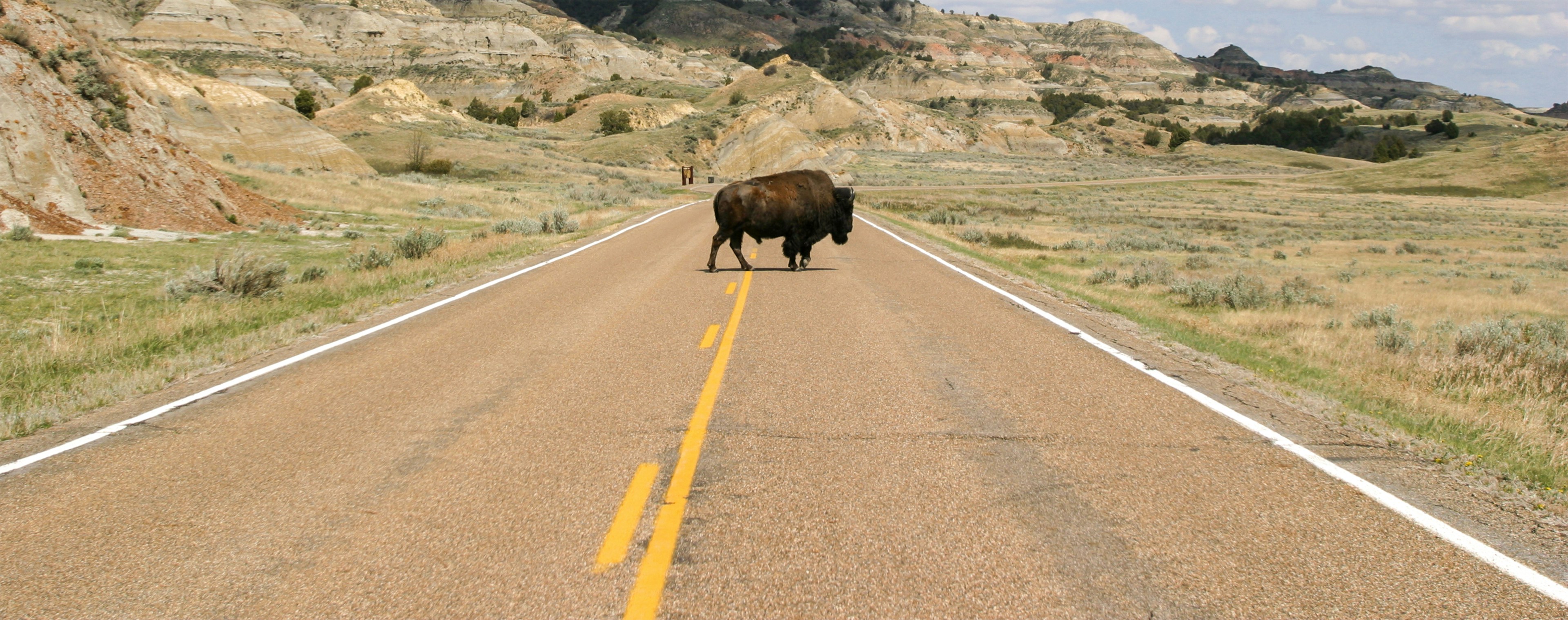 Restoring Biodiversity - 1/13/2026