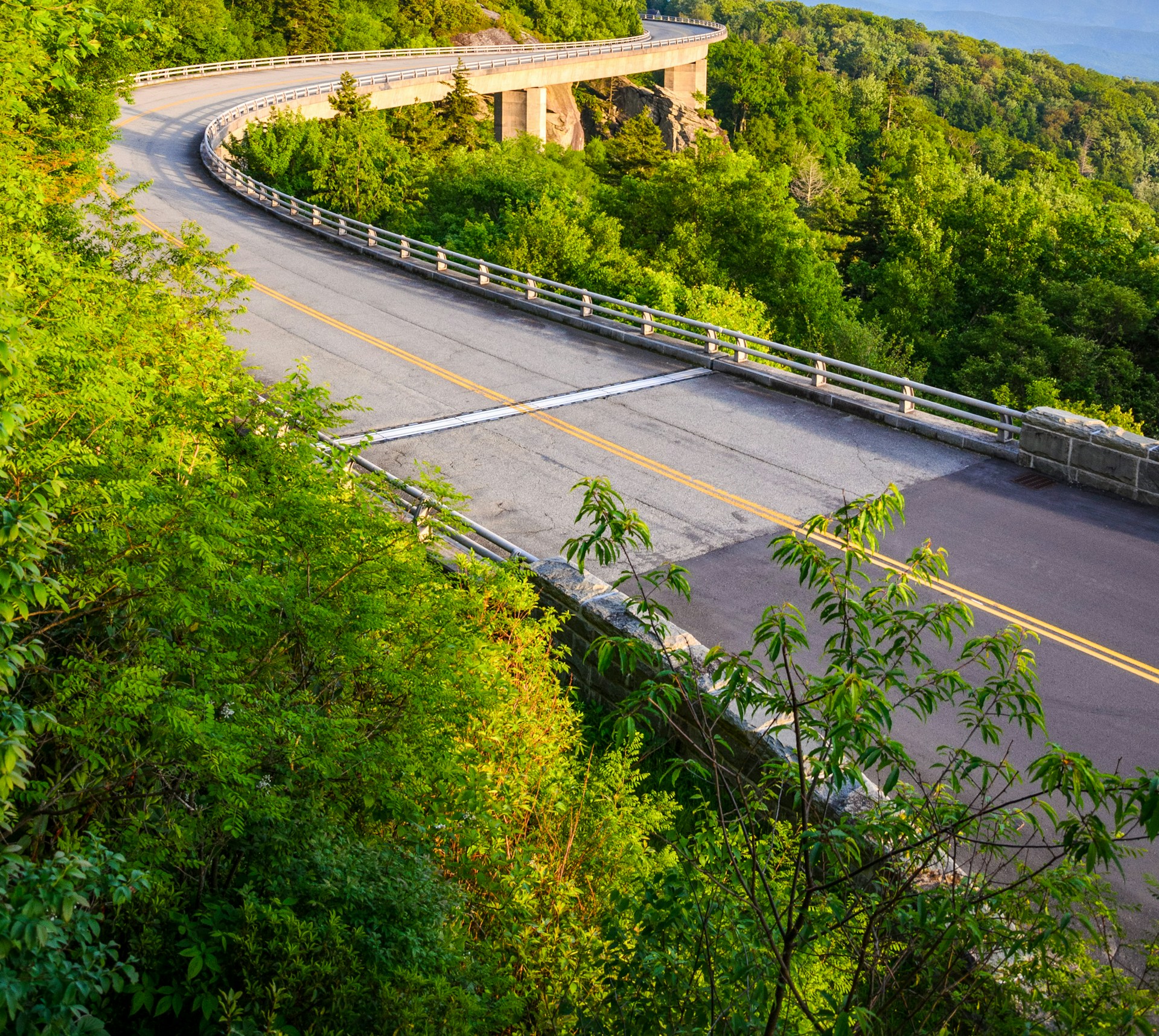 A scenic view of a road surrounded by trees