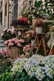 A bunch of flowers that are on a sidewalk