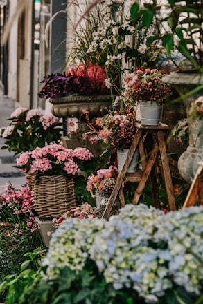 A bunch of flowers that are on a sidewalk