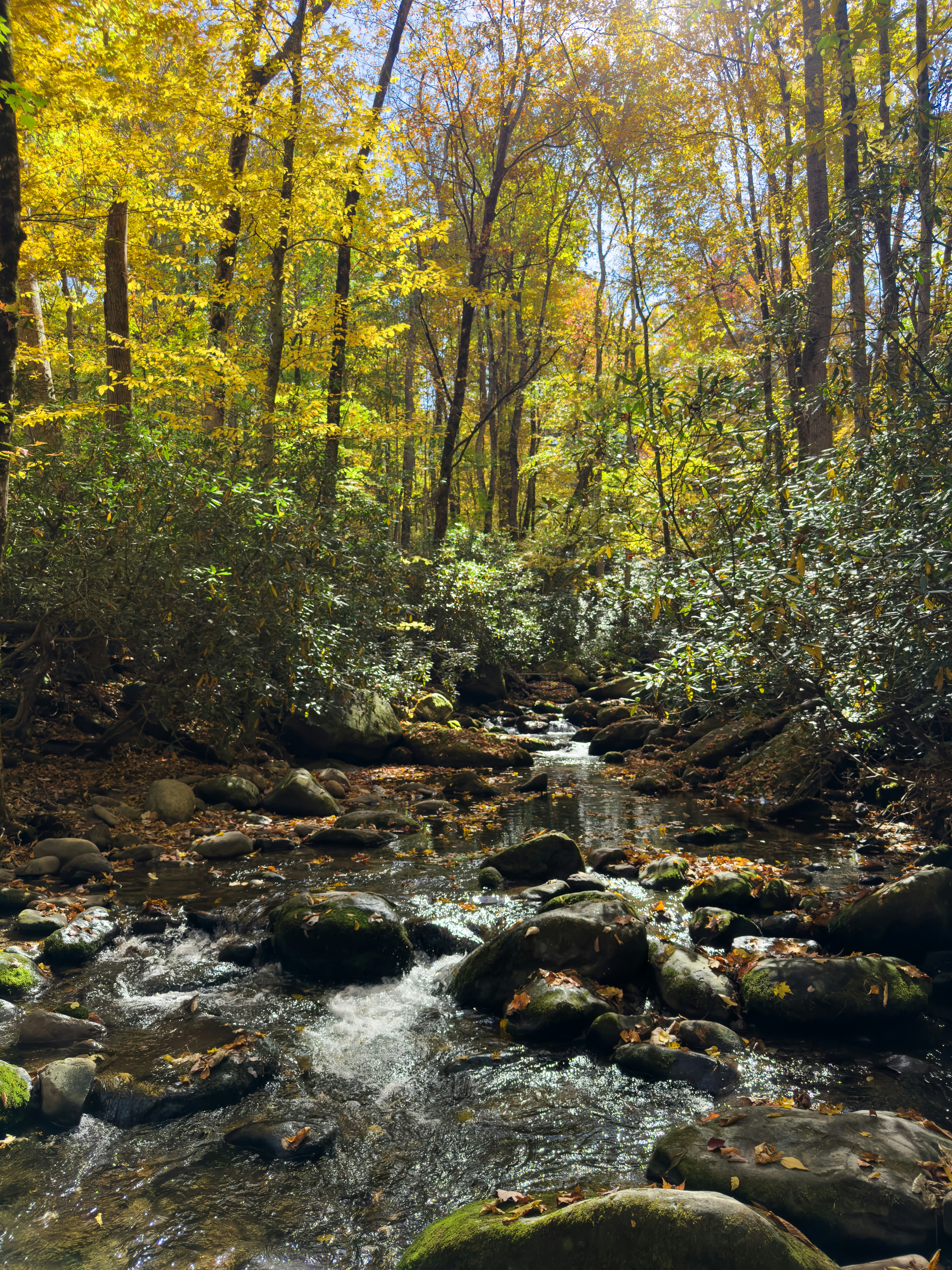 Photo by mdlhernandez