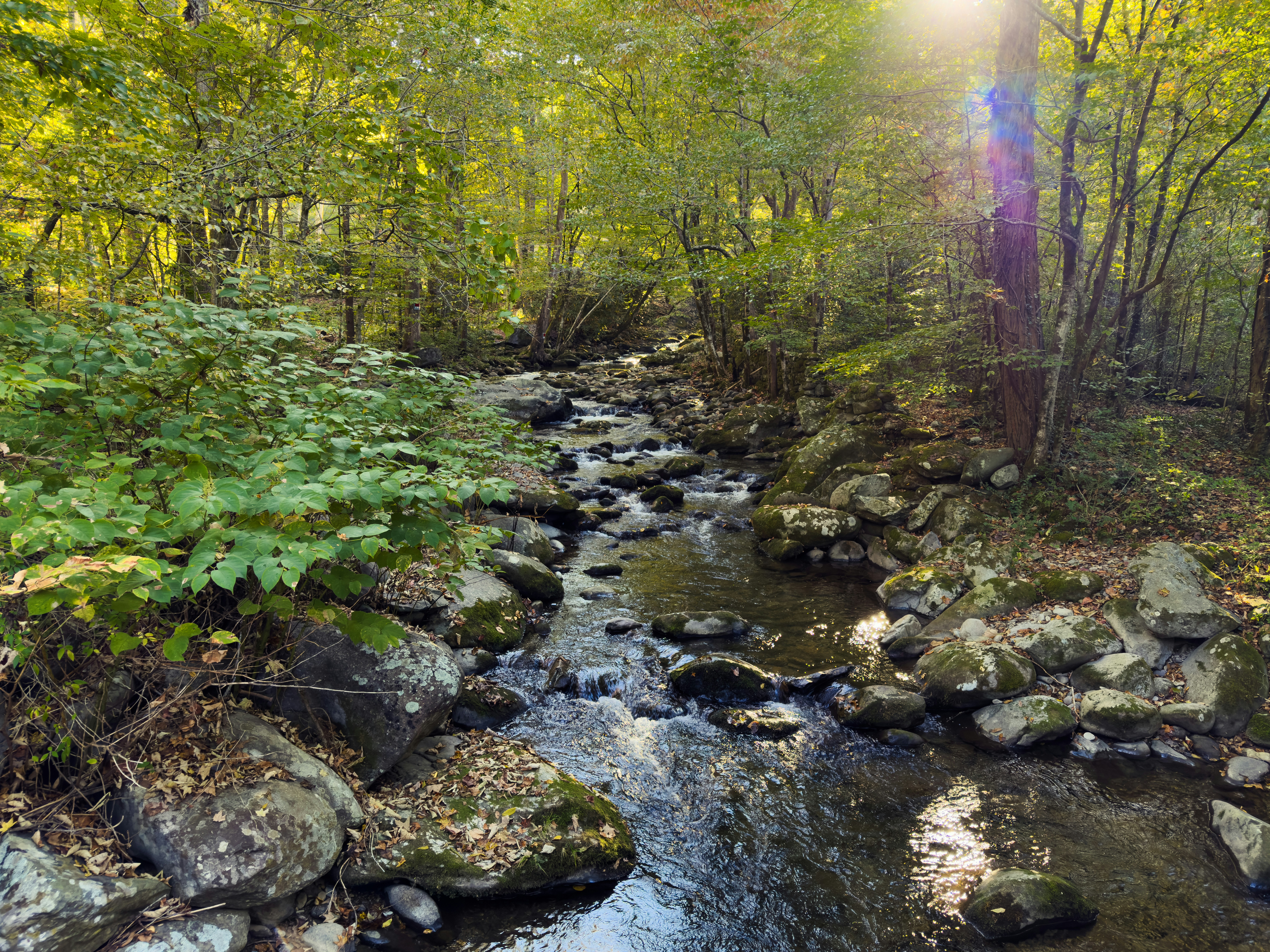 Photo by mdlhernandez