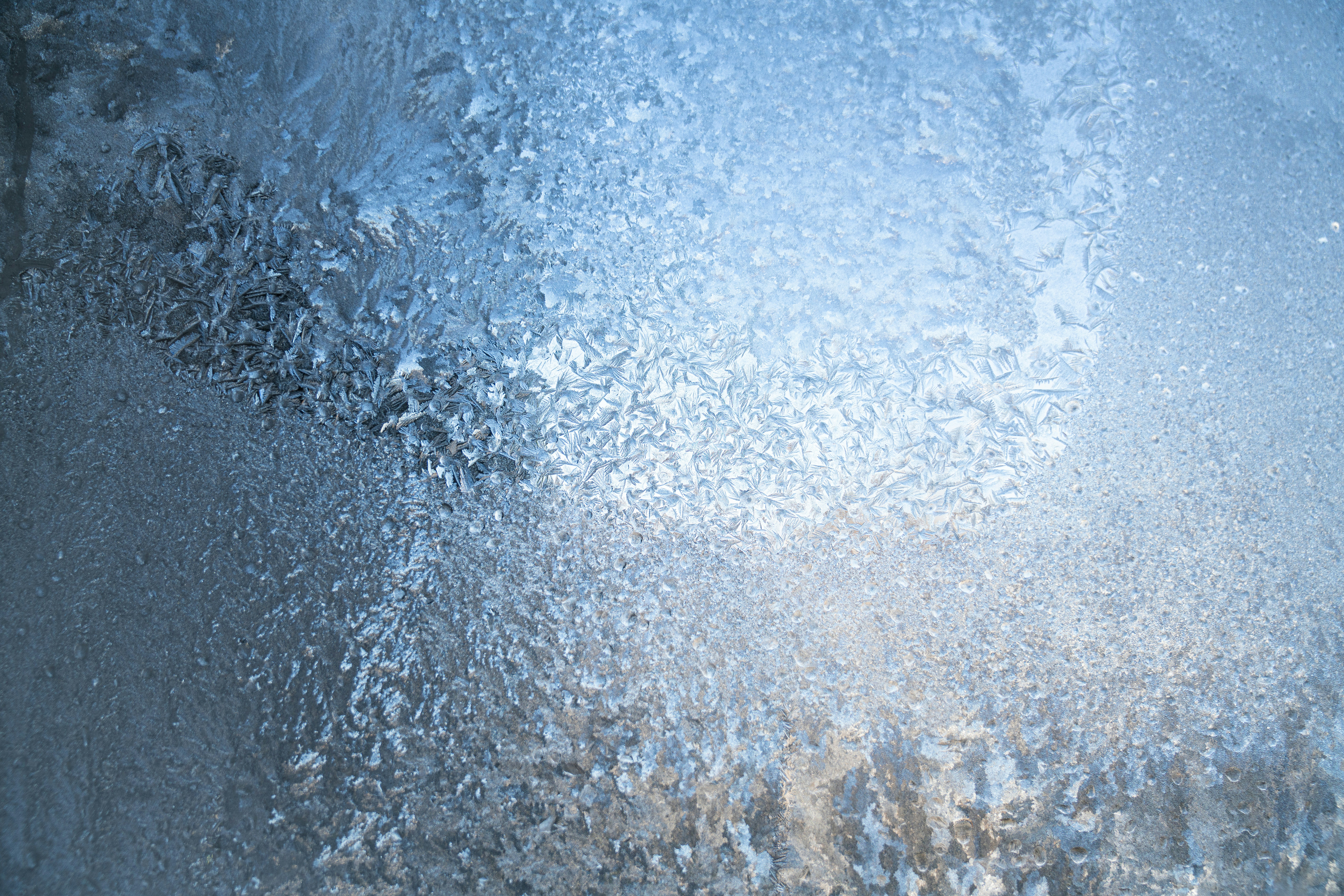 Photo by kristenelizabethphoto