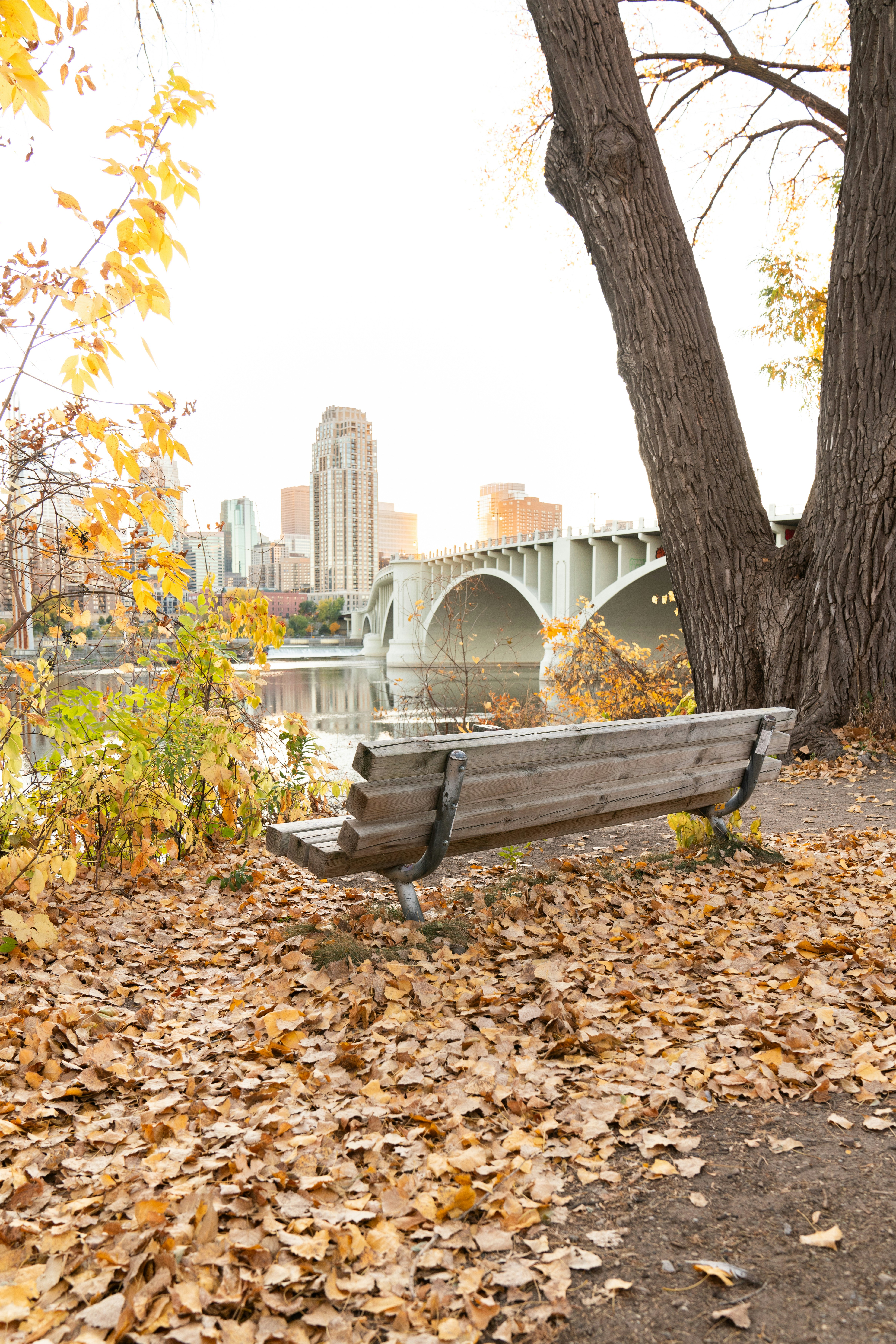 Photo by kristenelizabethphoto