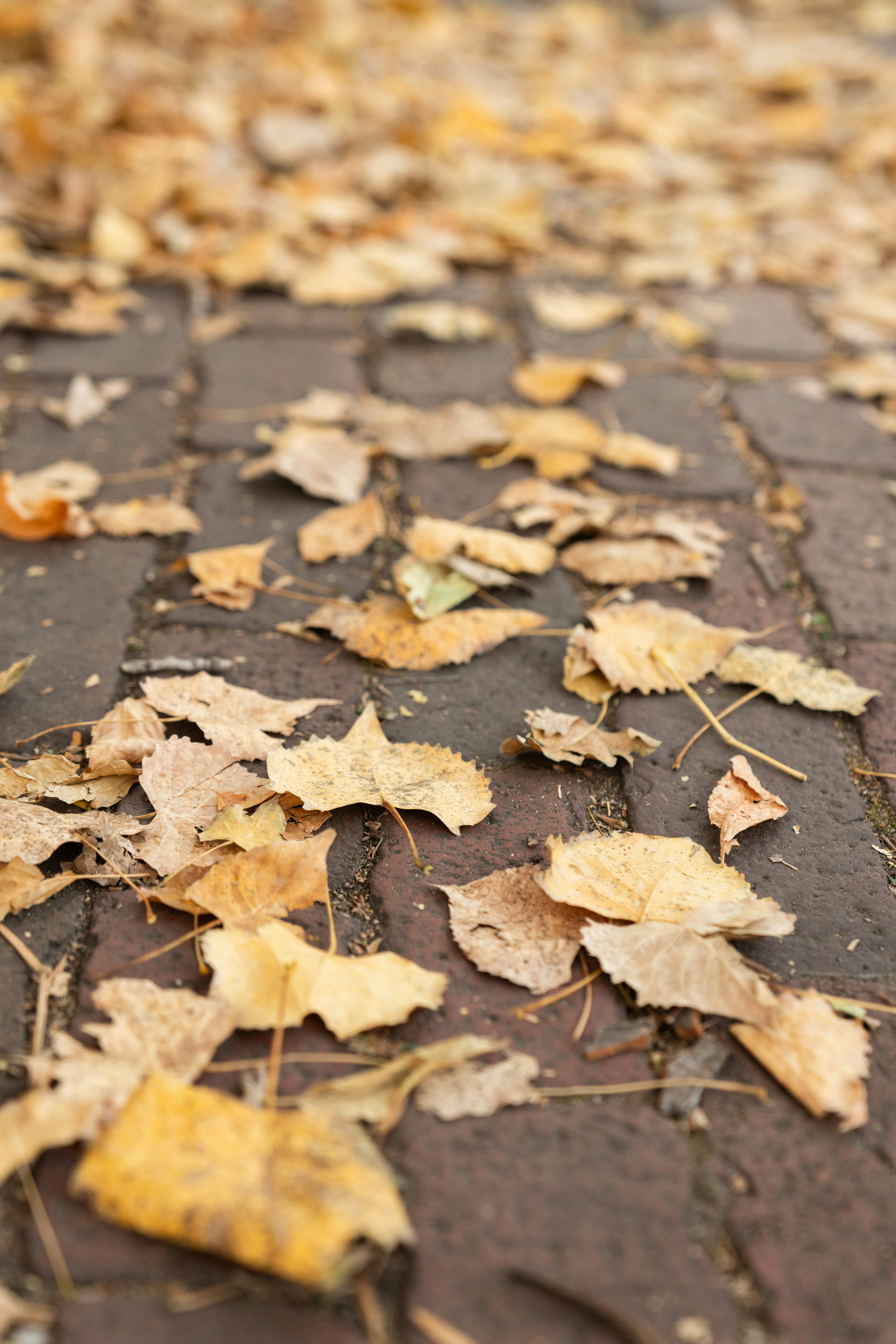 Photo by kristenelizabethphoto