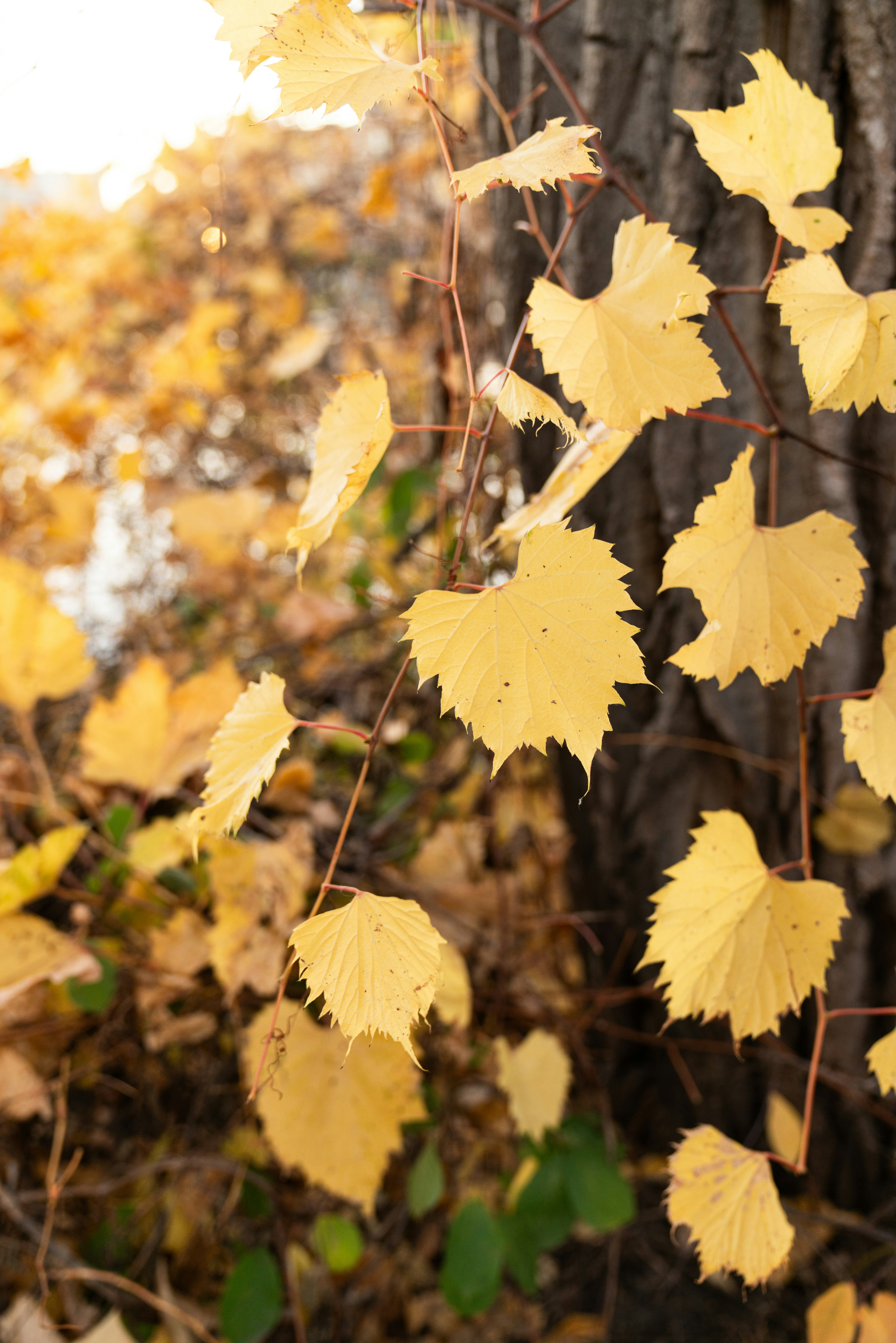 Photo by kristenelizabethphoto