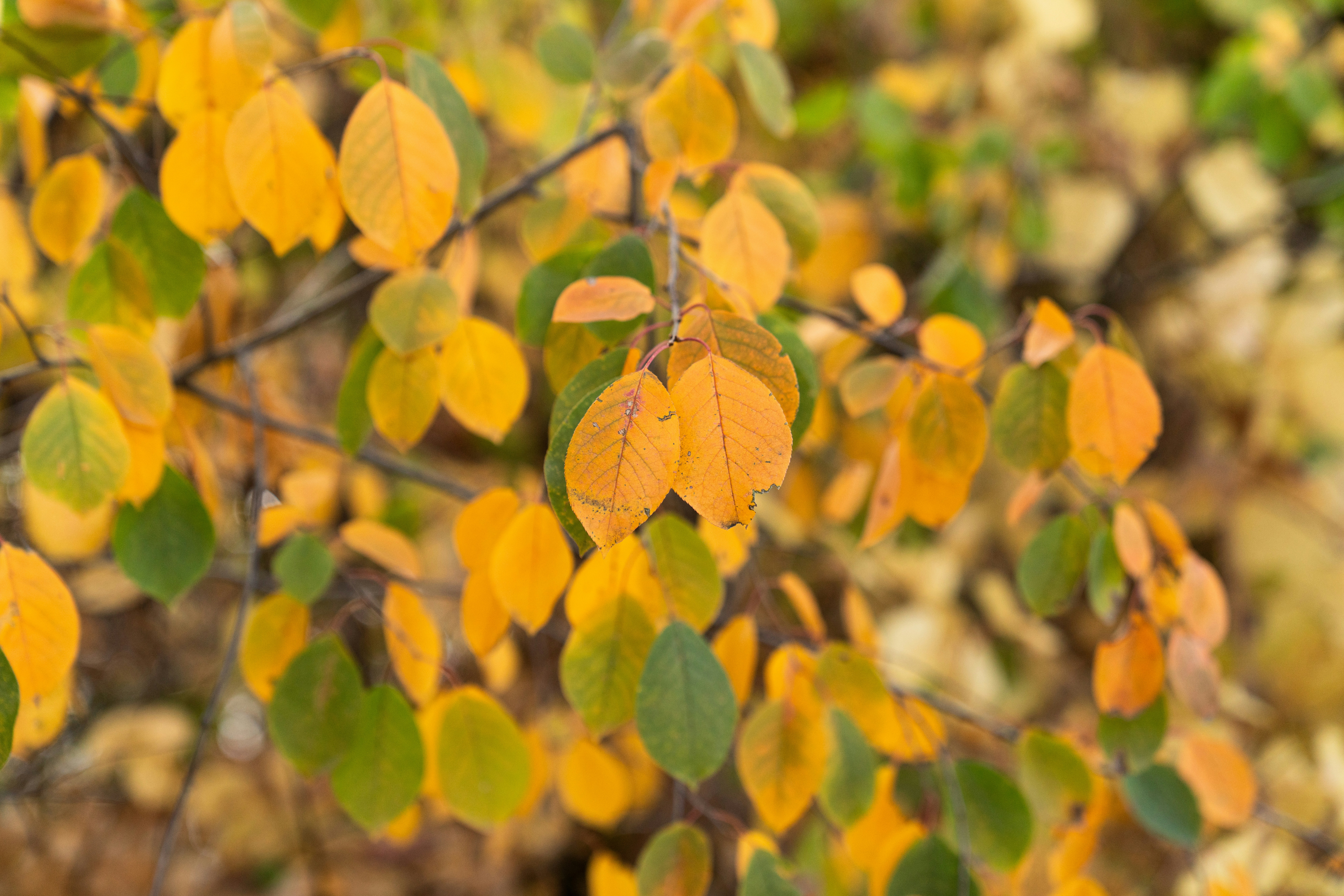 Photo by kristenelizabethphoto