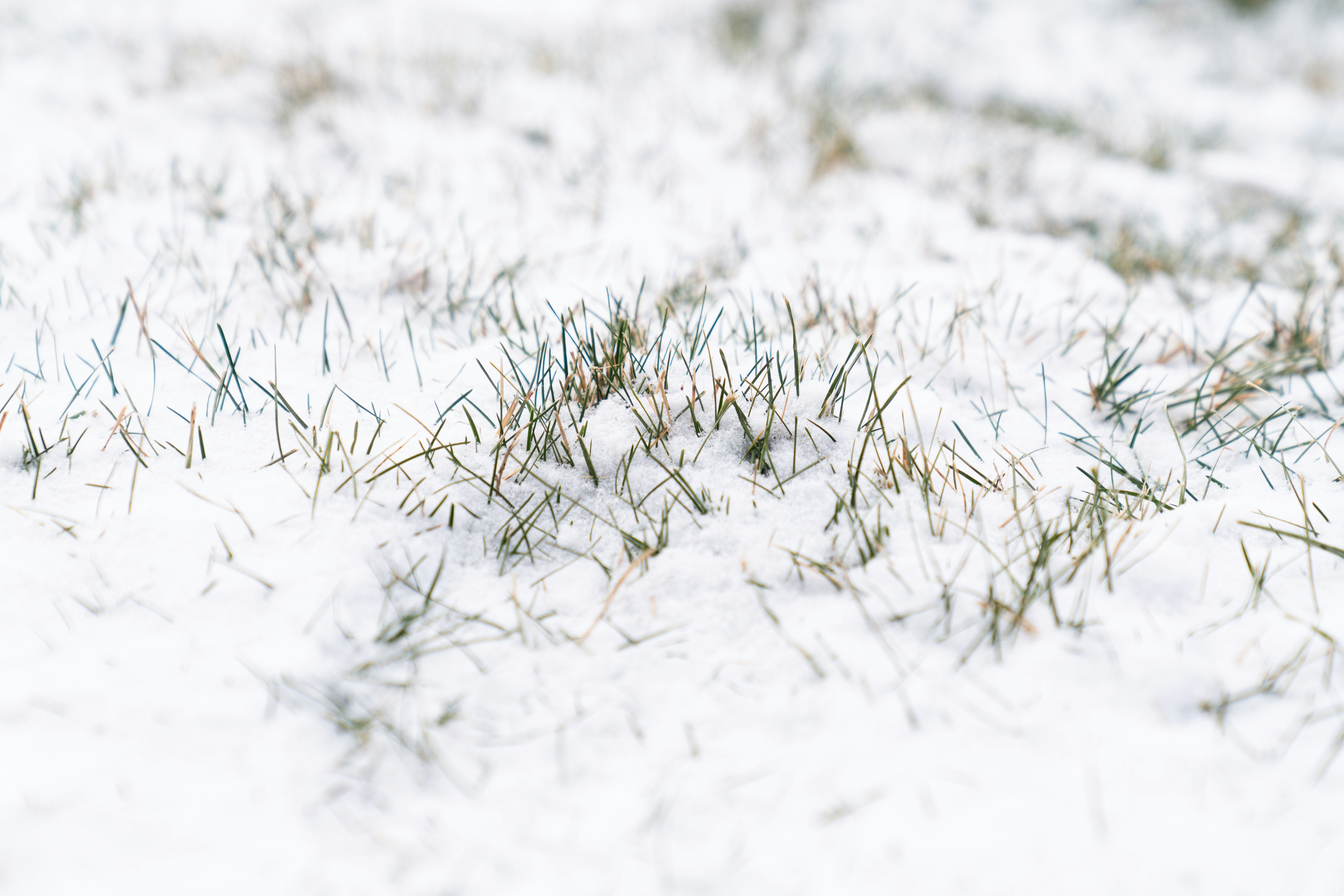 Photo by kristenelizabethphoto