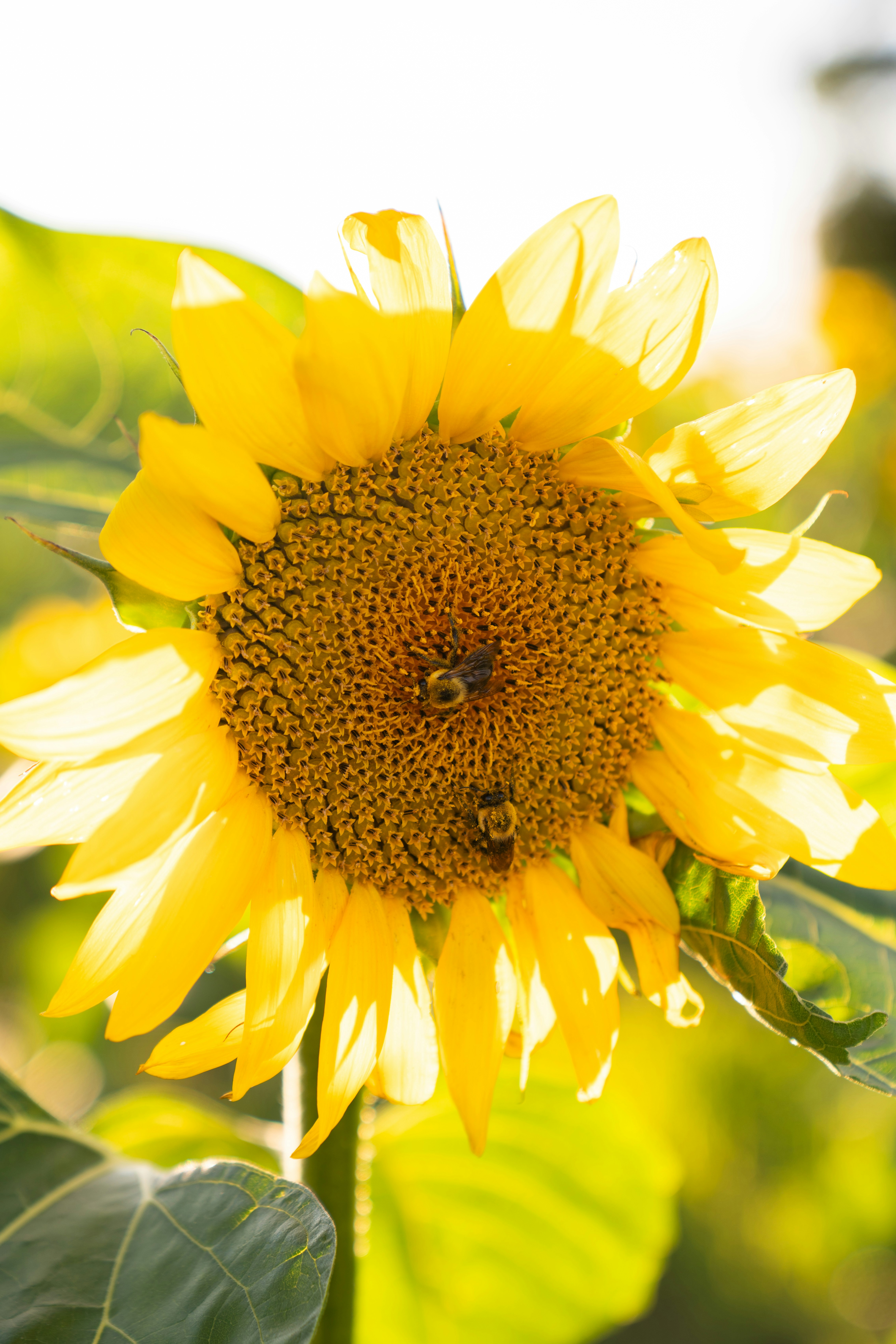 Photo by kristenelizabethphoto