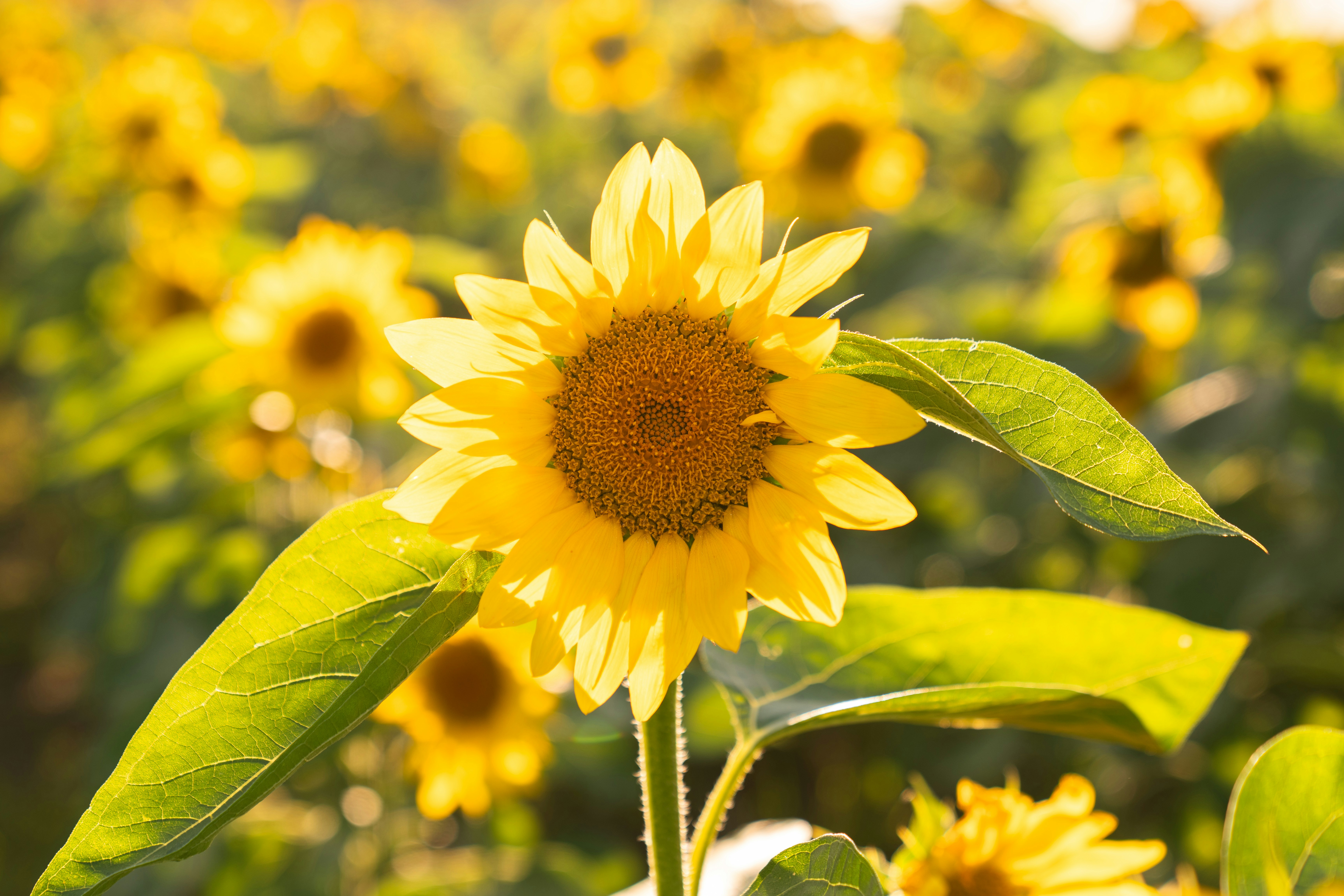 Photo by kristenelizabethphoto