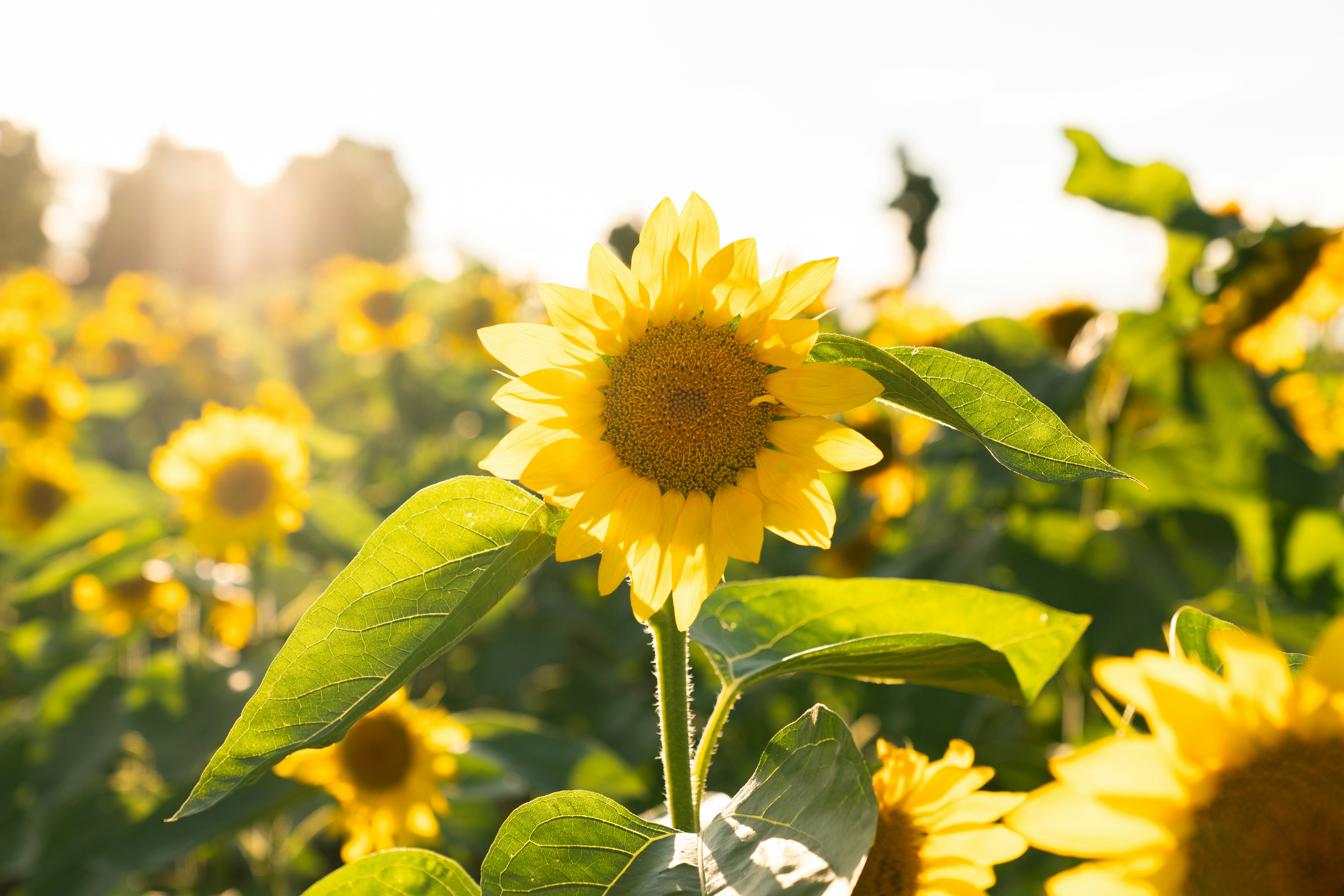 Photo by kristenelizabethphoto