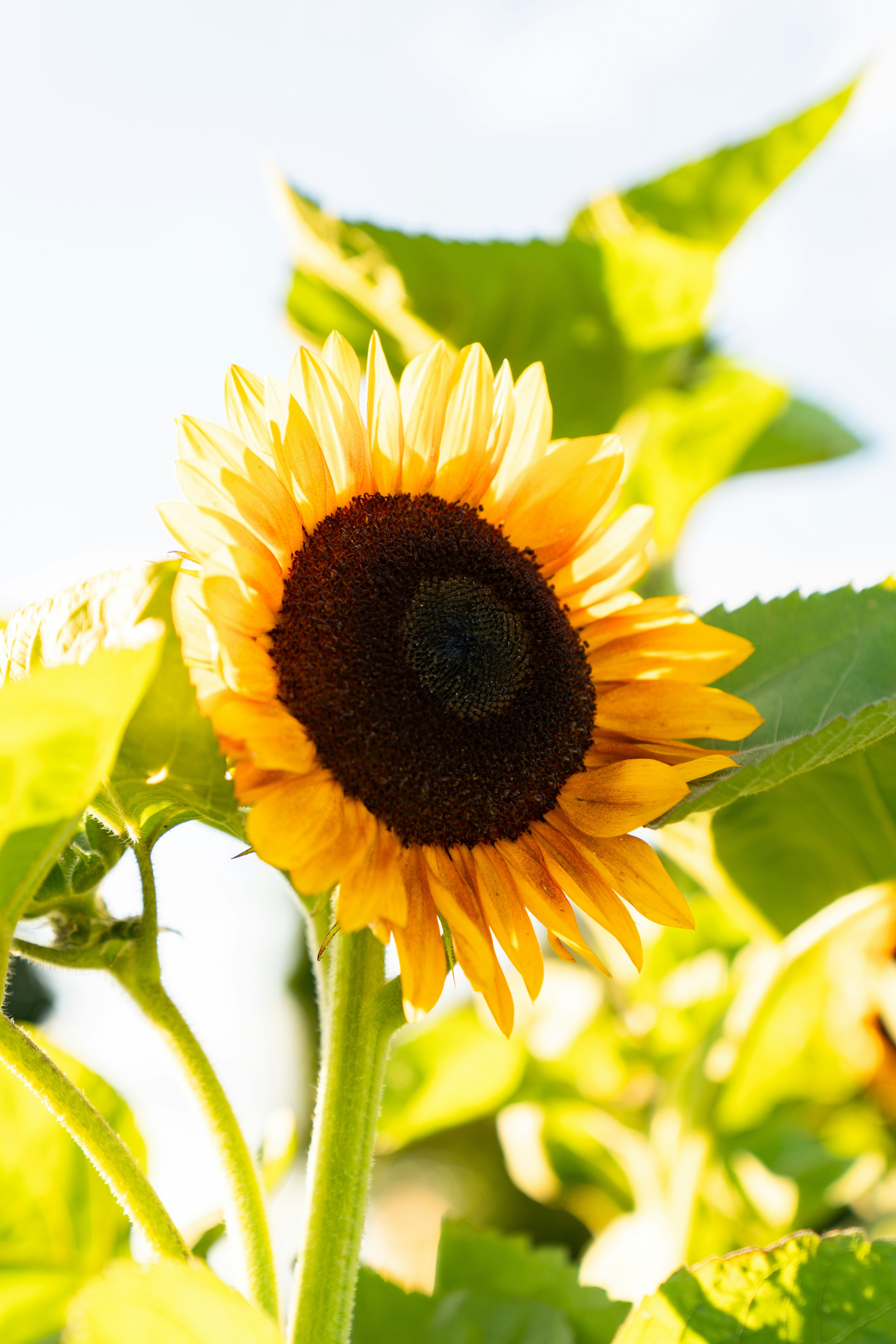 Photo by kristenelizabethphoto