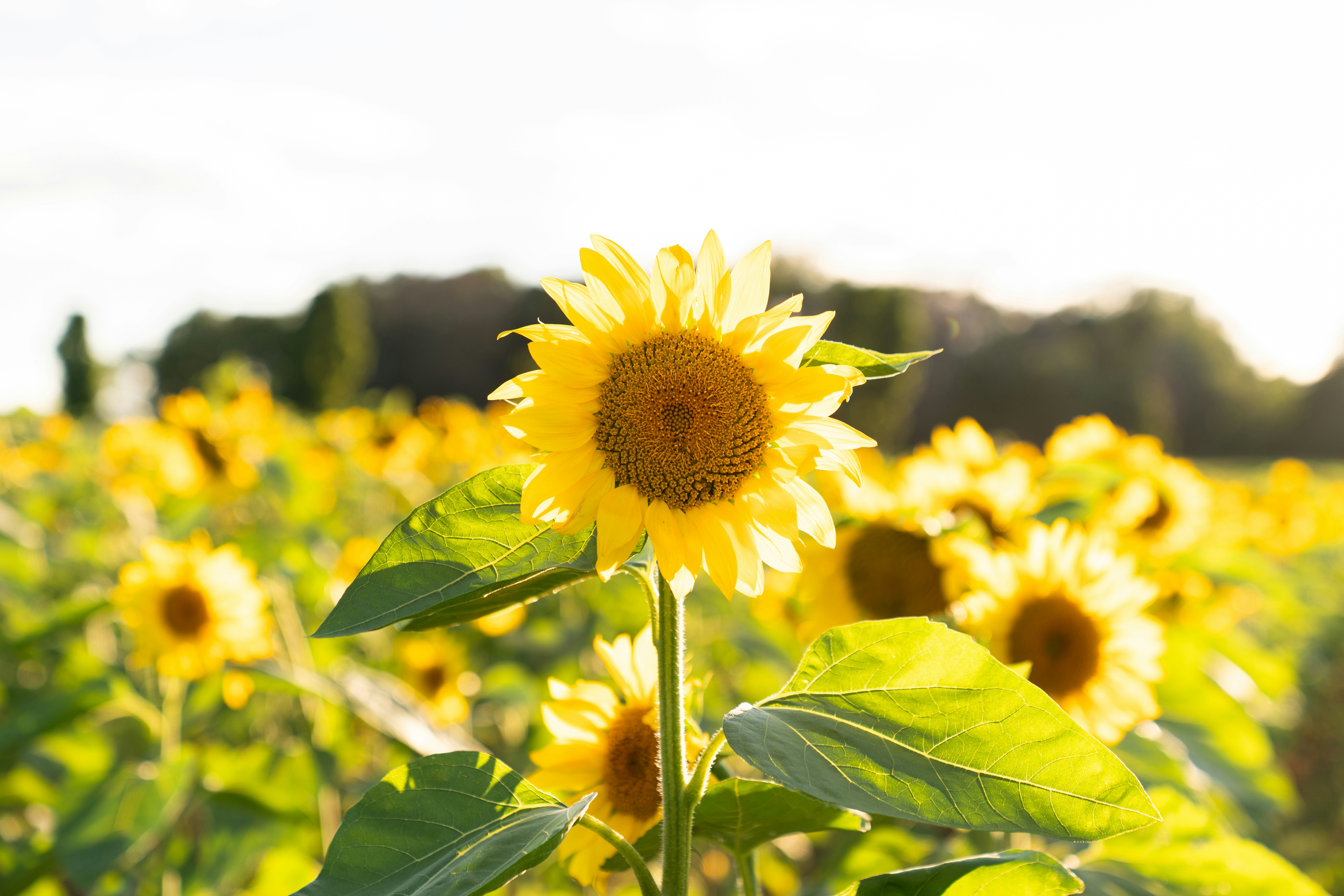 Photo by kristenelizabethphoto