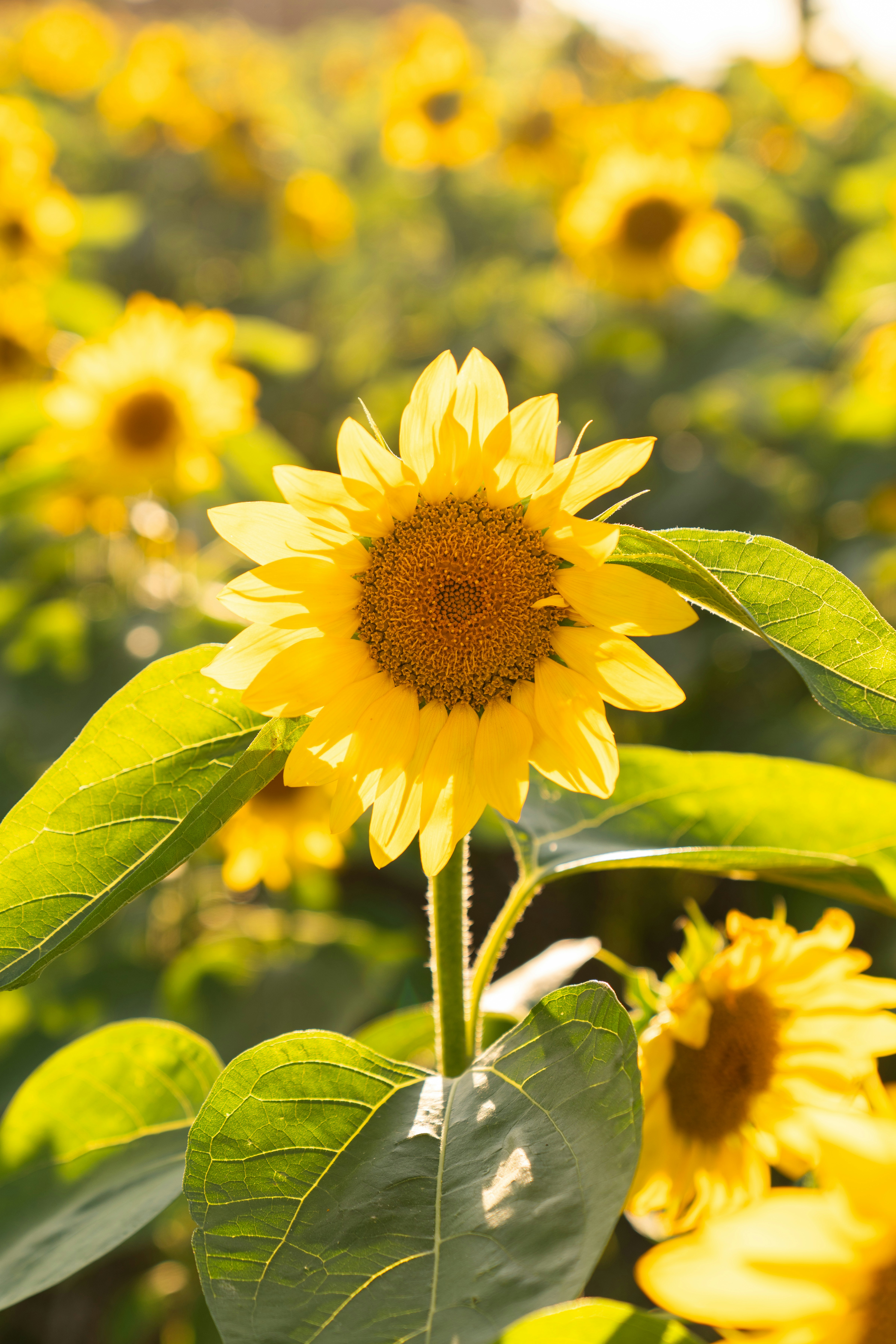 Photo by kristenelizabethphoto