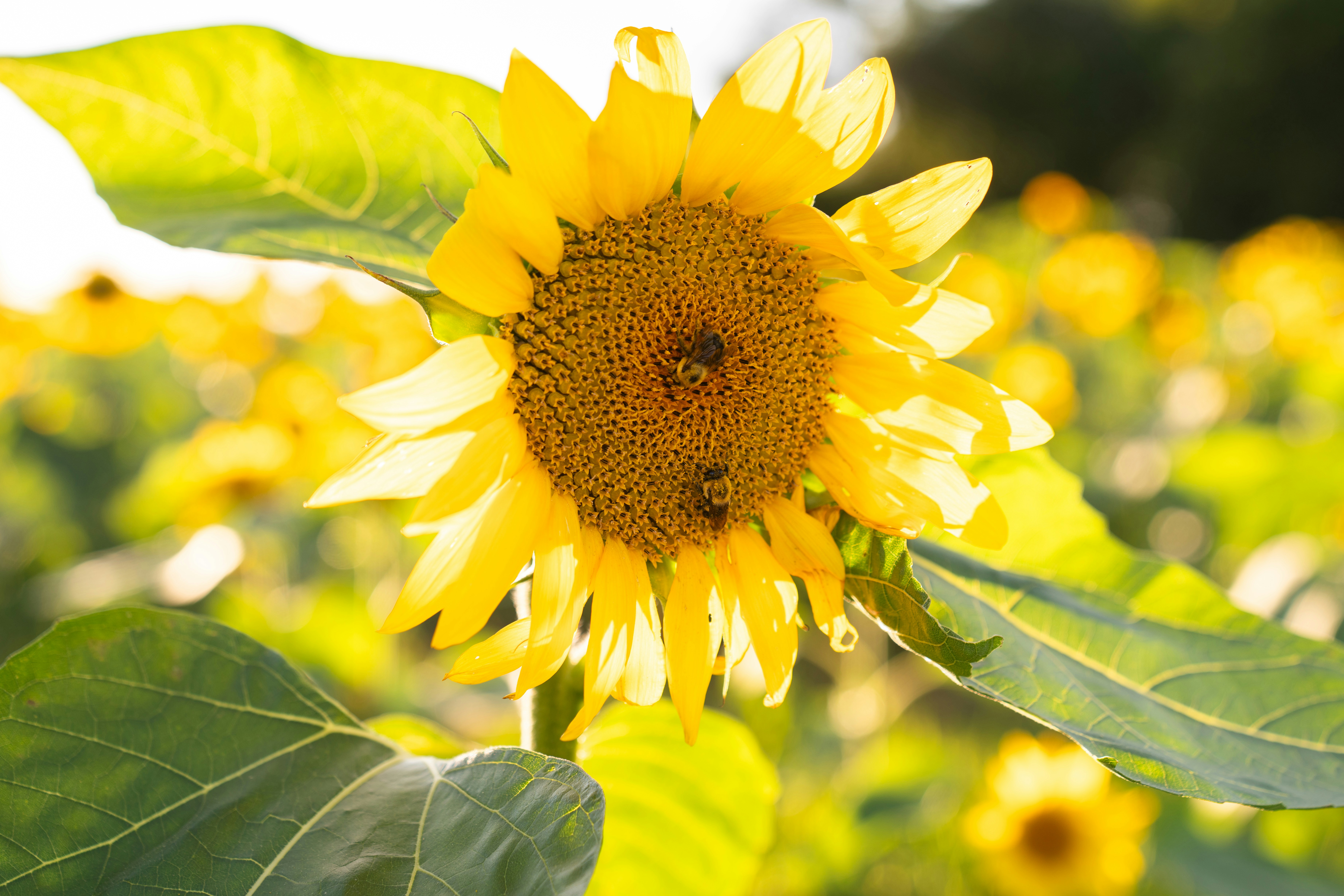 Photo by kristenelizabethphoto