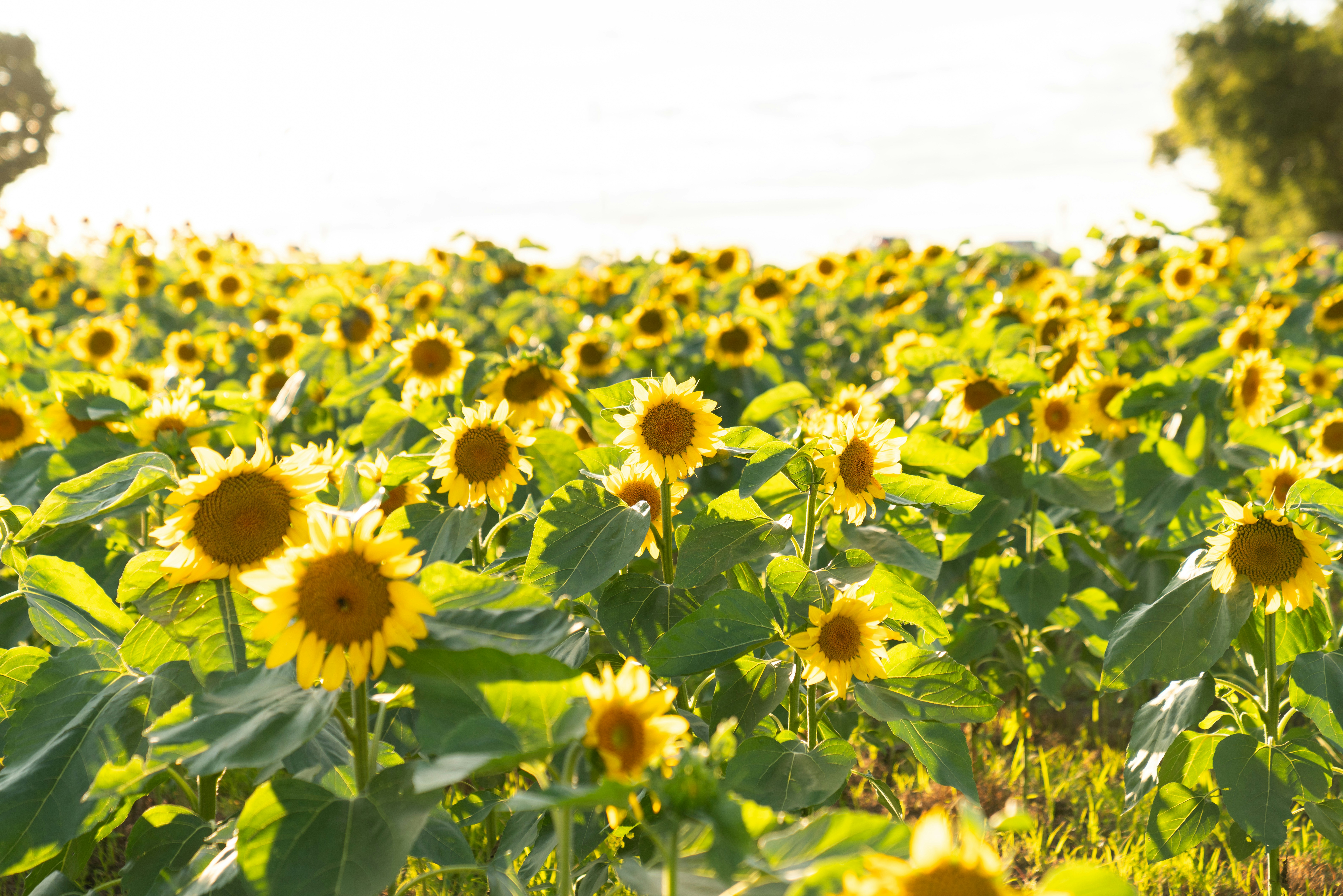 Photo by kristenelizabethphoto