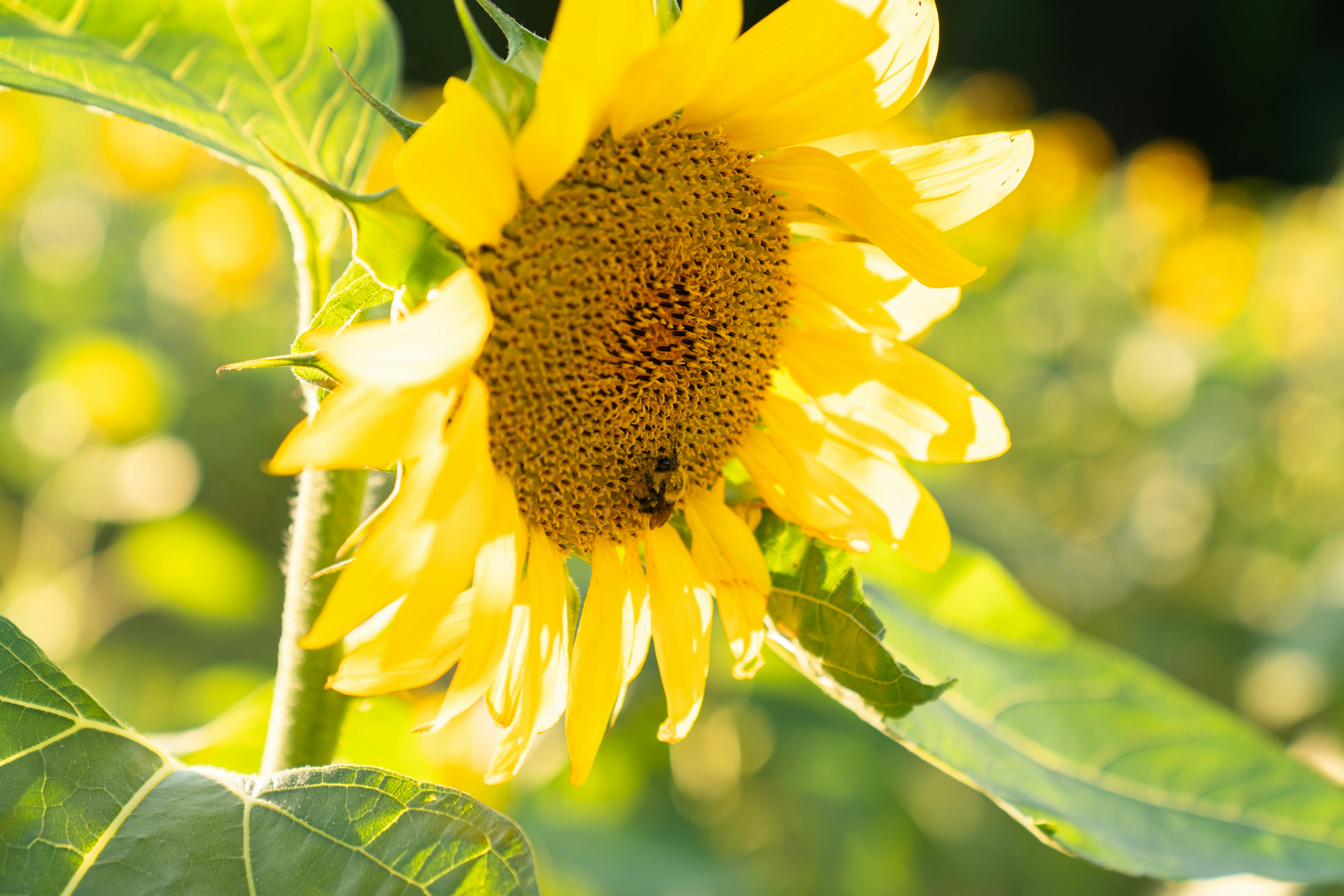 Photo by kristenelizabethphoto